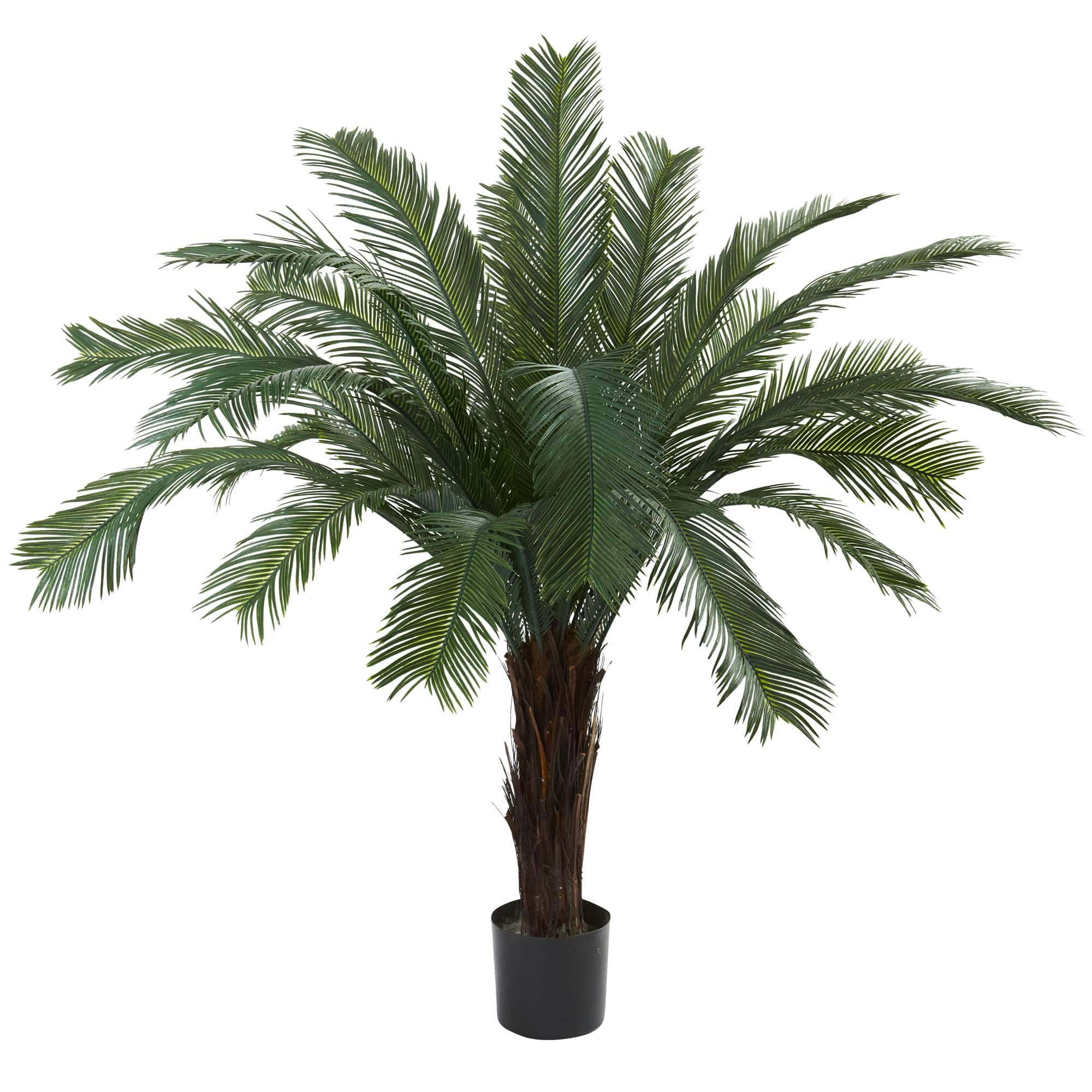 5ft. Potted UV Resistant Cycas Tree