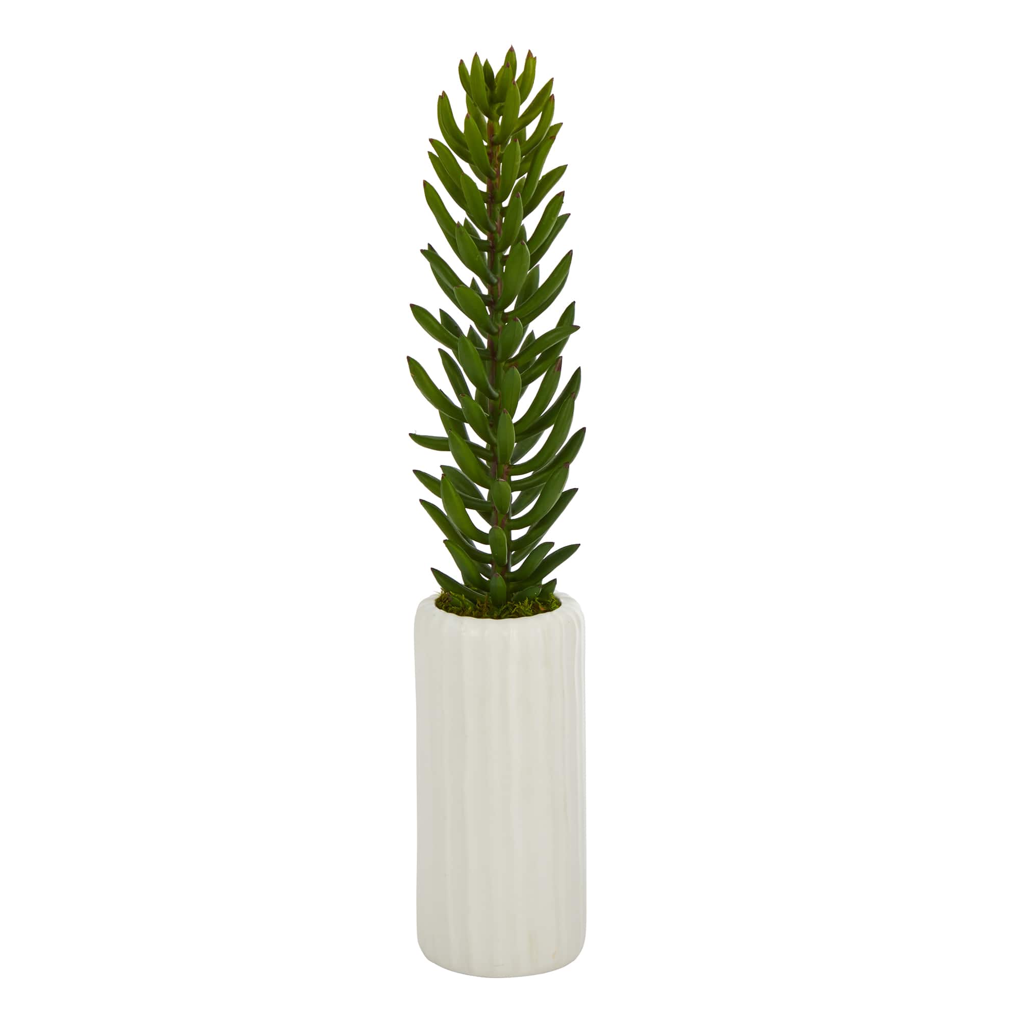 19" Succulent Artificial Plant in White Planter