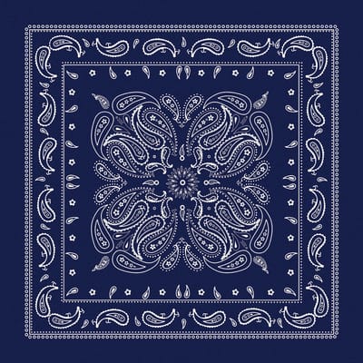 Darice® Paisley Bandana | Bandanas | Michaels