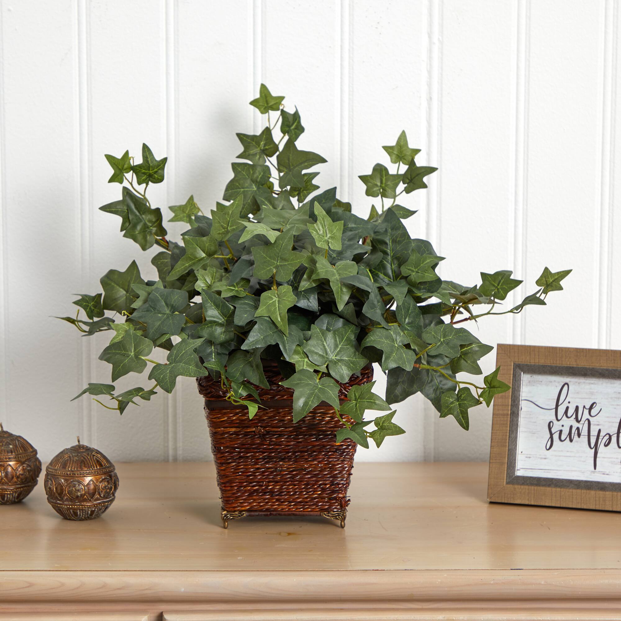 17" Puff Ivy Plant in Coiled Rope Planter