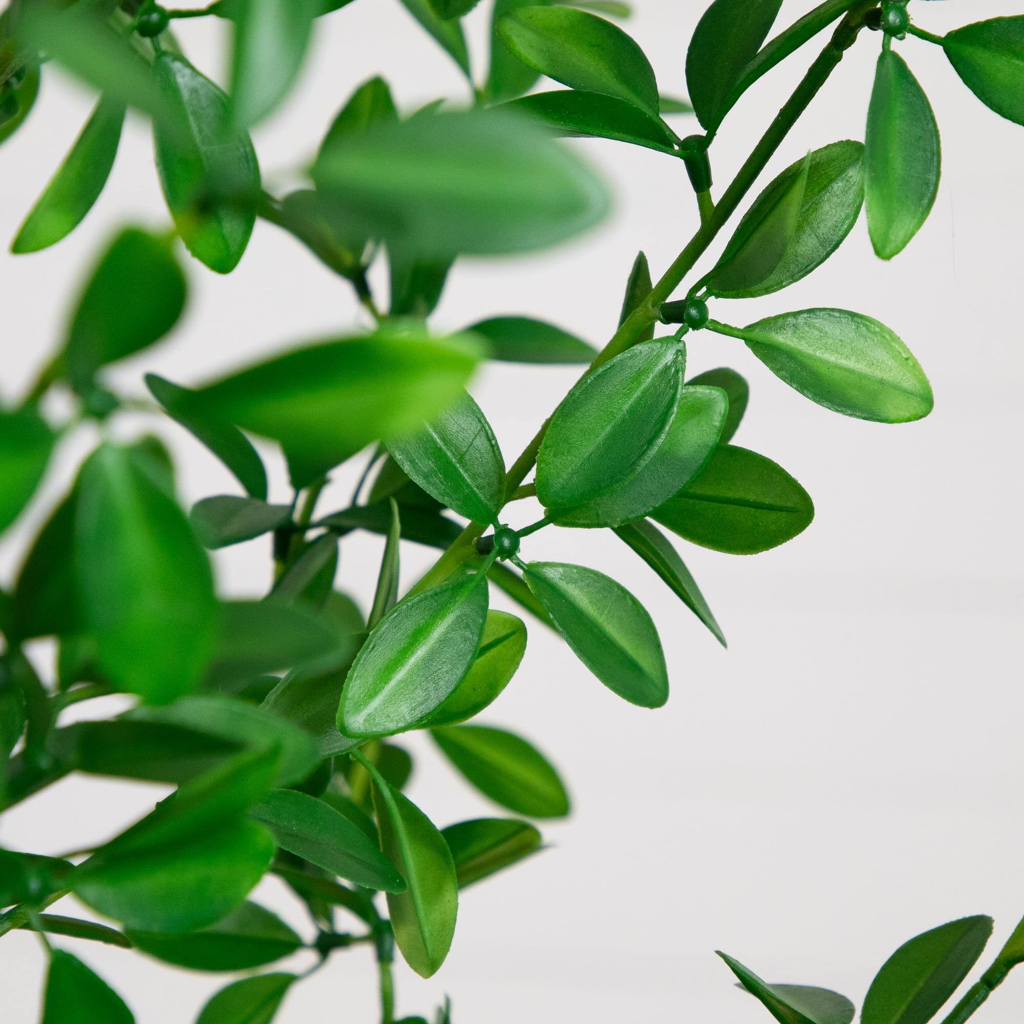 7ft. Artificial Shady Lady Black Olive Tree