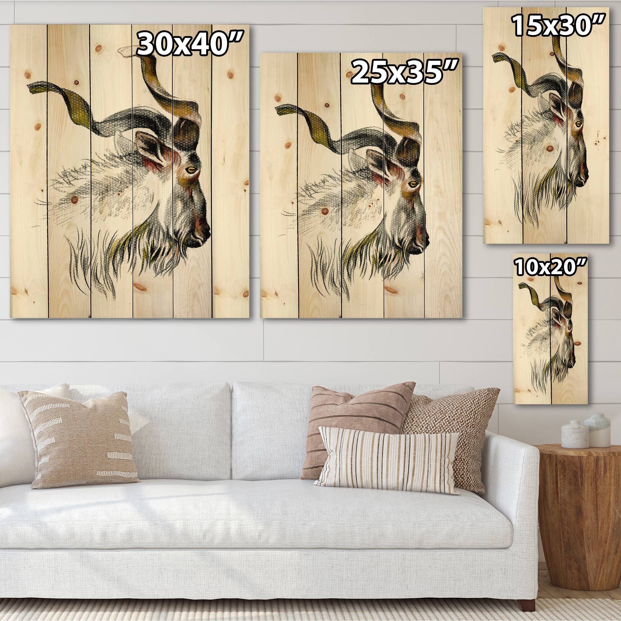 Designart - Monochrome Portrait Of Goat II