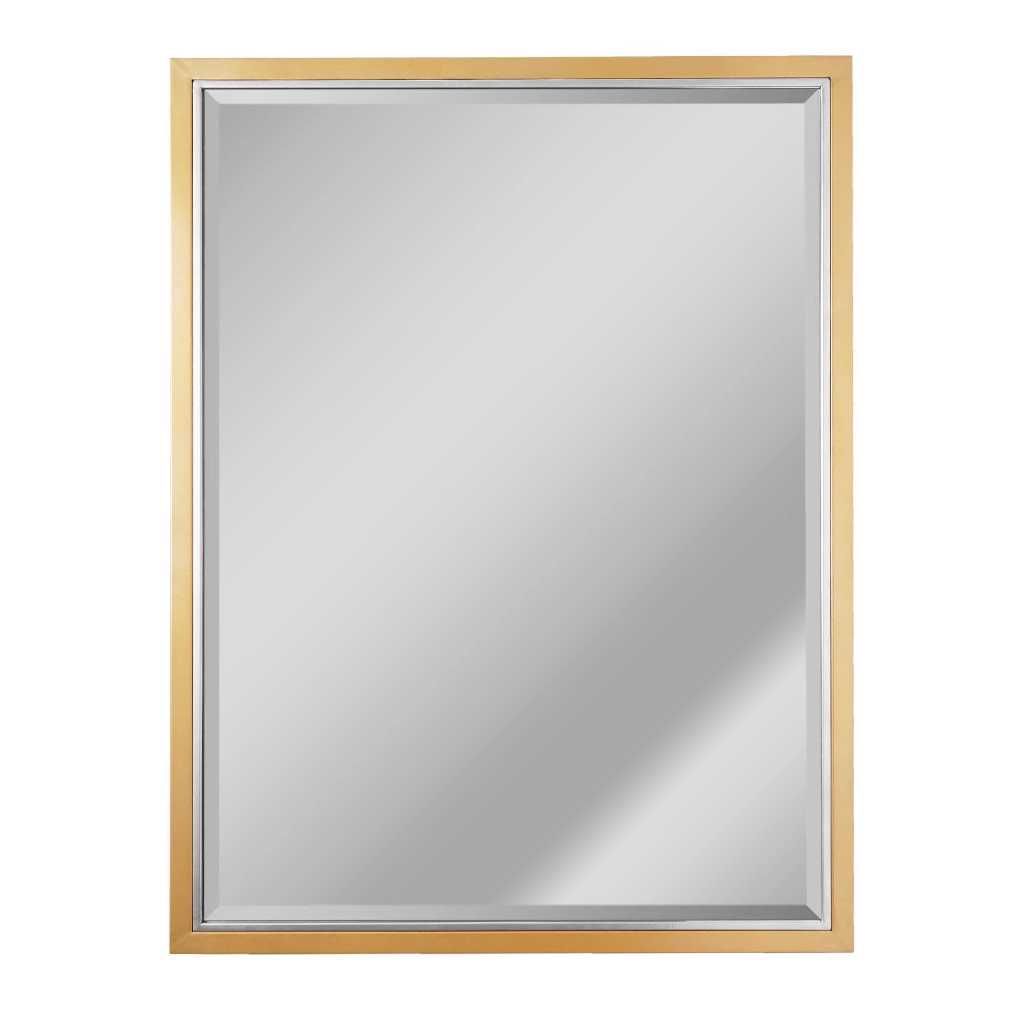 Brushed Brass/Chrome Metal Framed Beveled Edge Wall Mirror - 30" x 40"