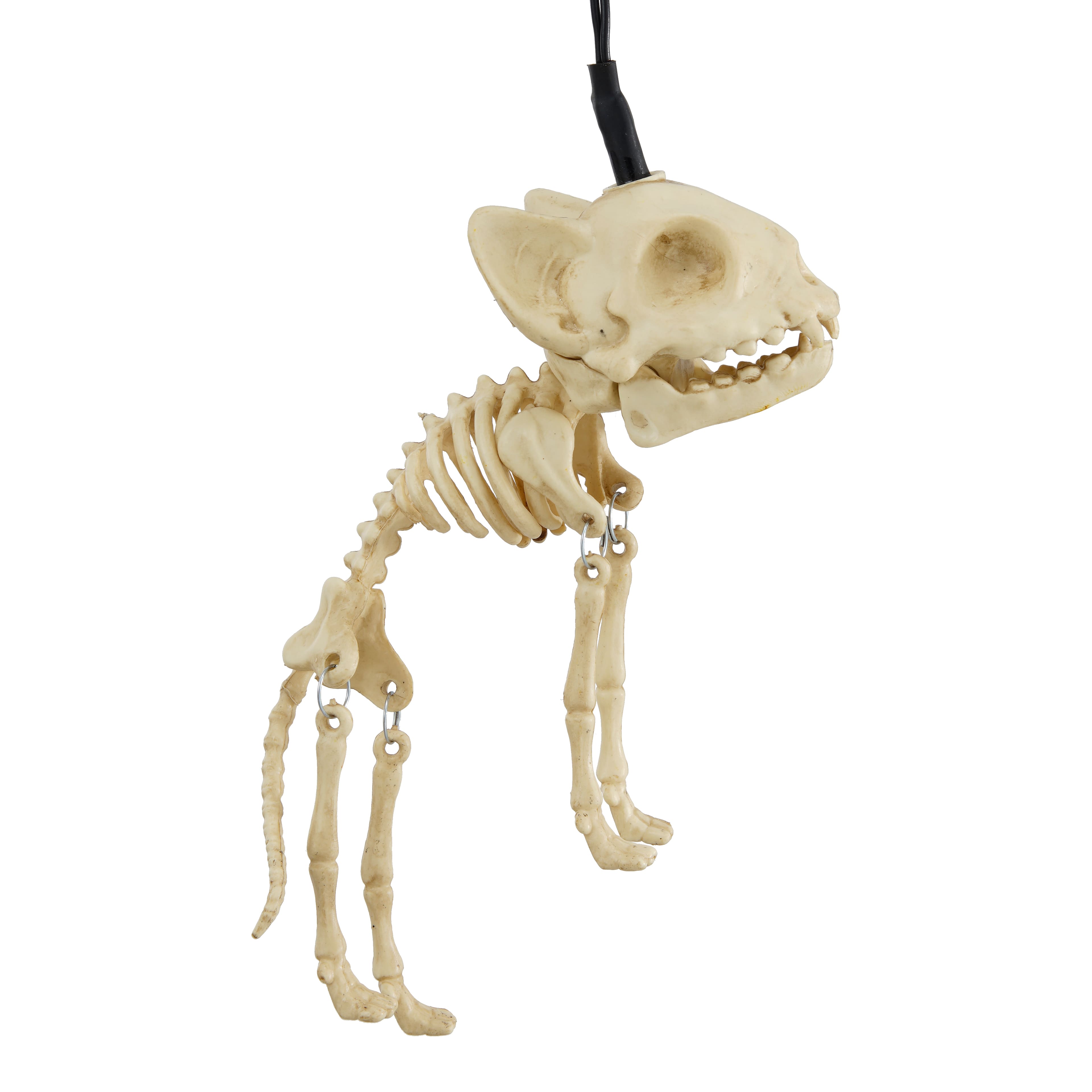 8ct. Skeleton Cats Icon LED String Lights by Ashland&#xAE;