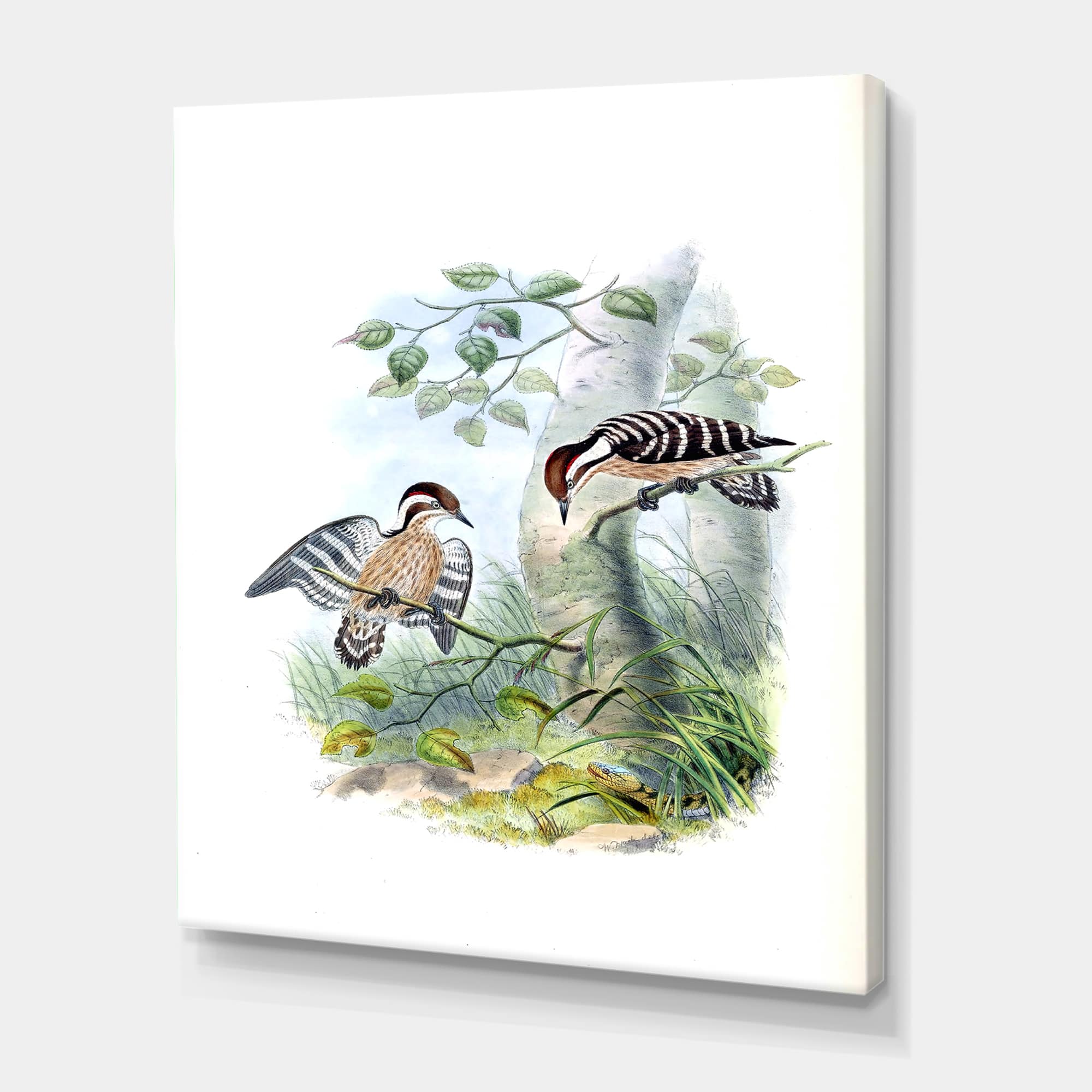 Designart - Vintage Birds In The Wild I - Traditional Canvas Wall Art Print
