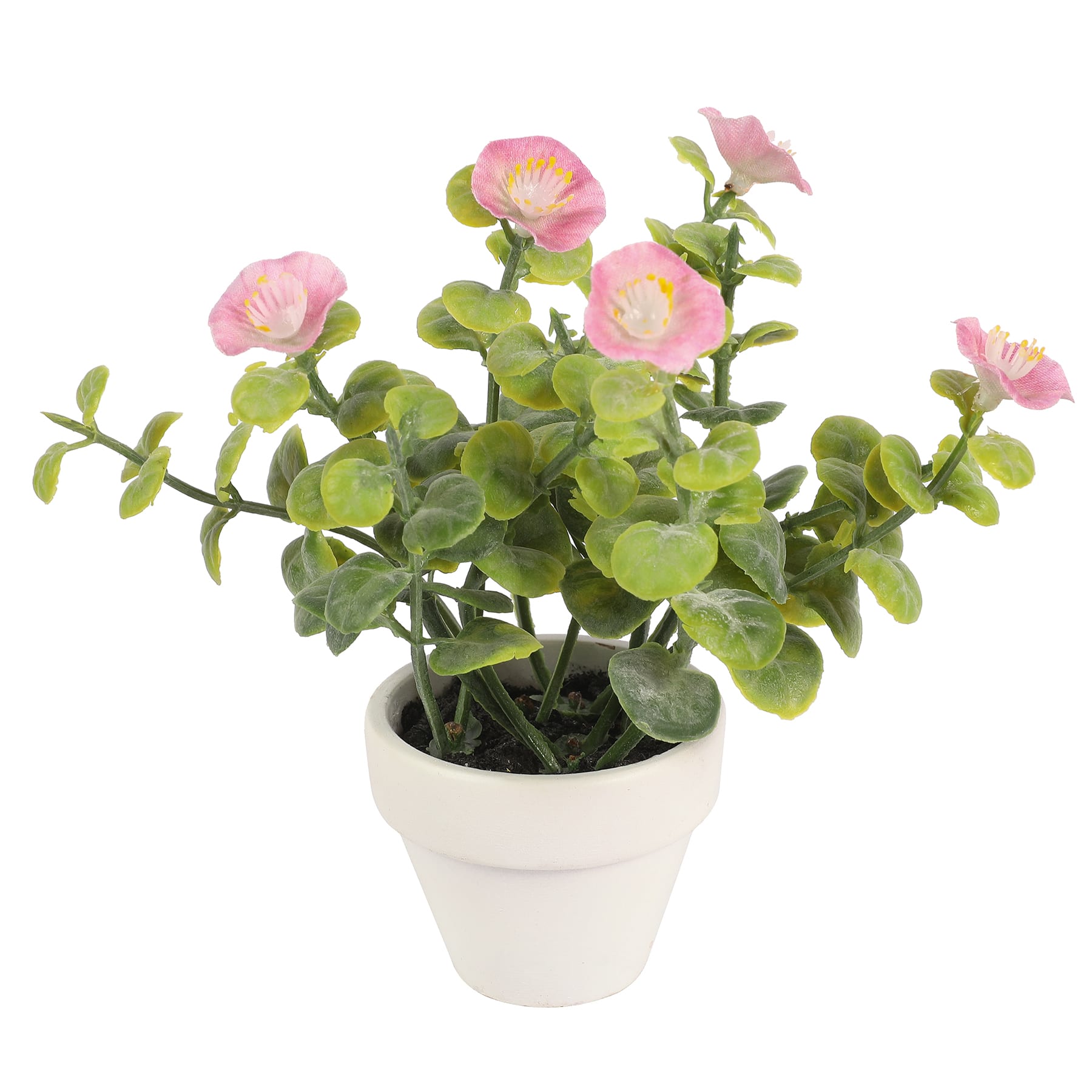 Assorted Micro Premade Flowering Plant by Ashland&#xAE;