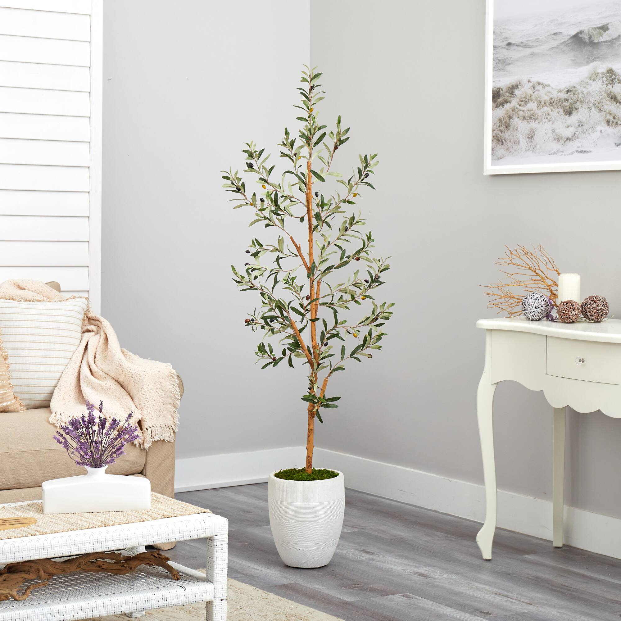 5.5ft. Olive Artificial Tree in White Planter