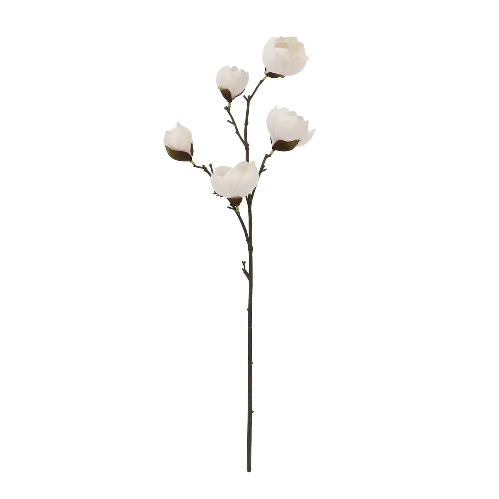 33&#x22; Blush Magnolia Stem by Ashland&#xAE;