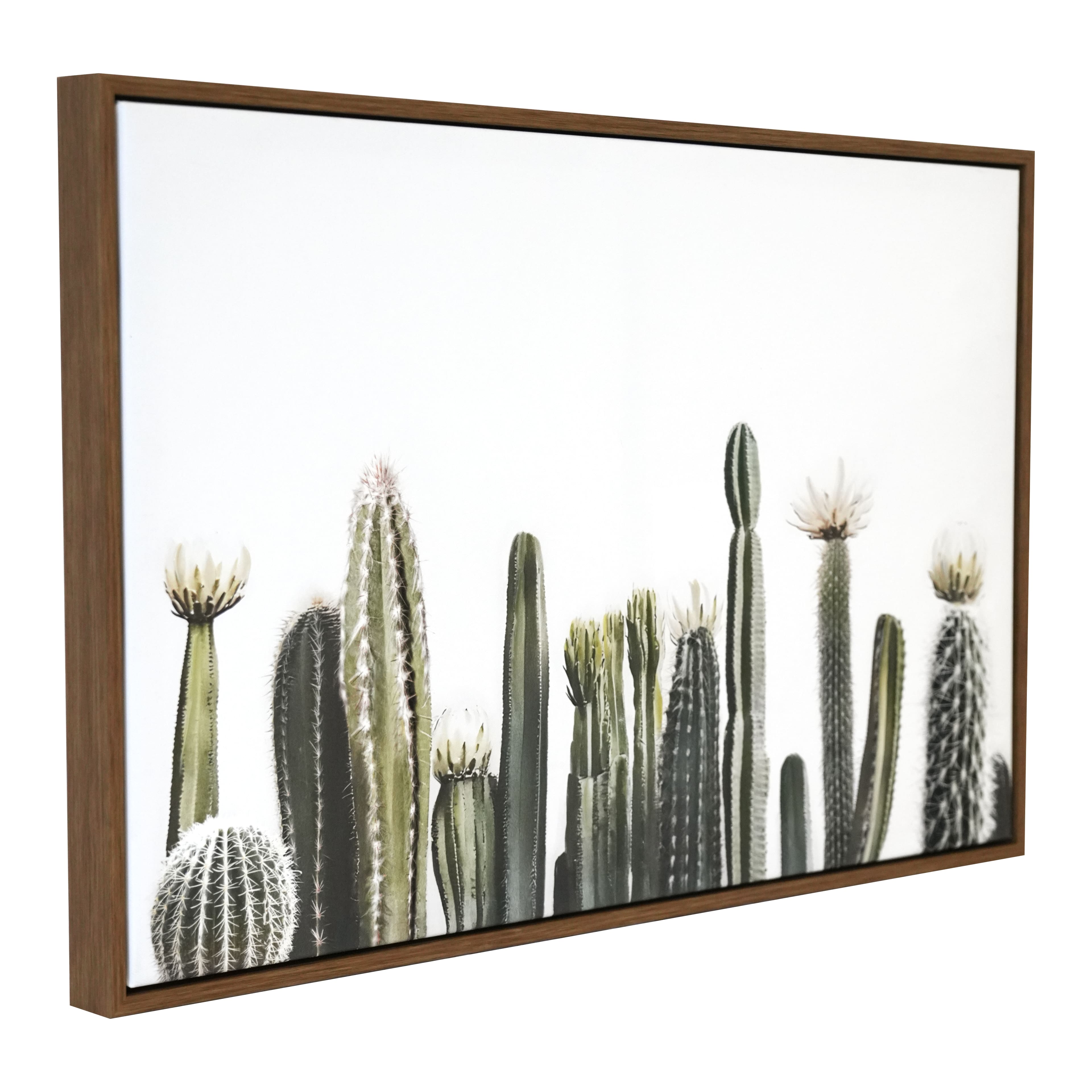 24&#x22; Cacti on White Background Wall Canvas by Ashland&#xAE;
