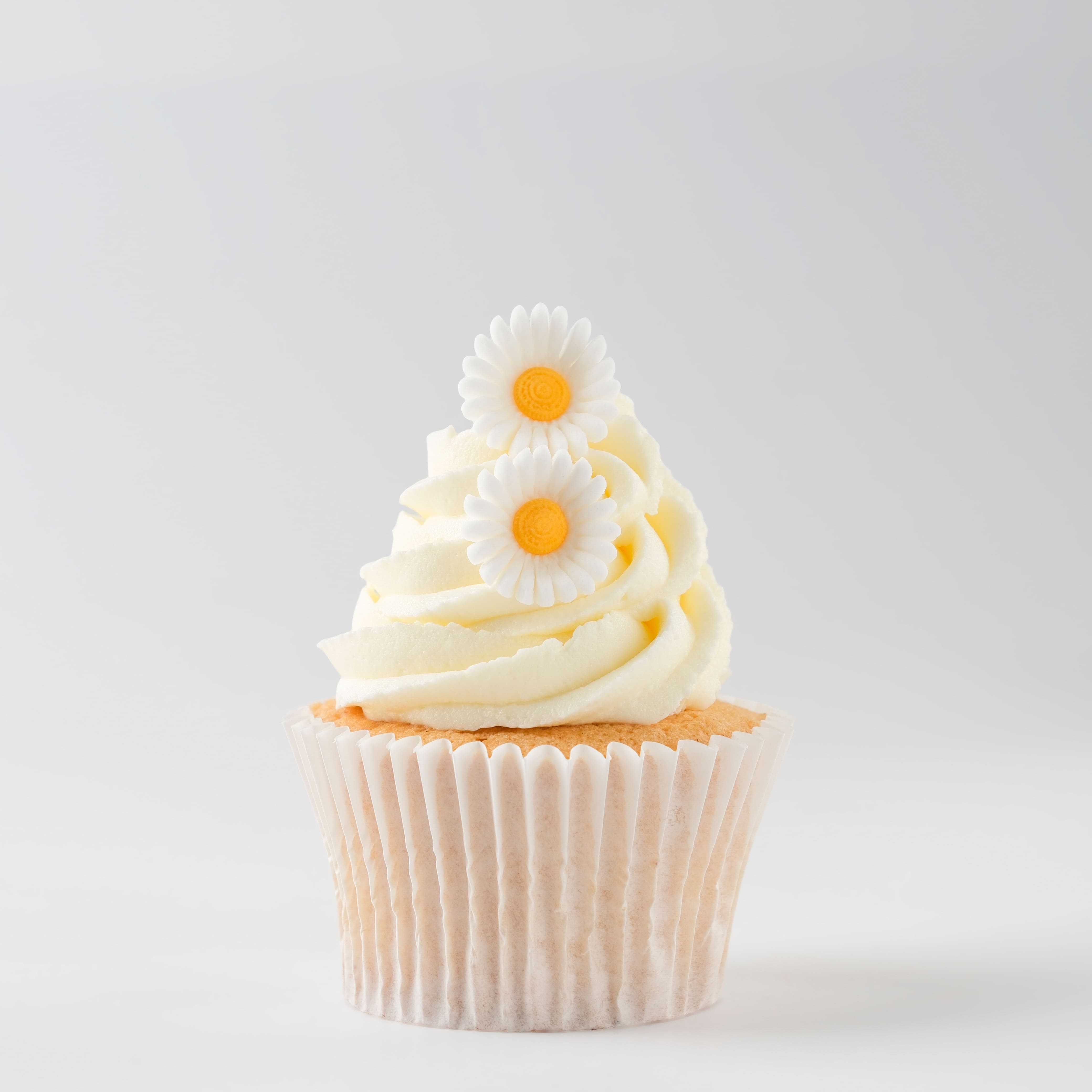 PME Cake Sweet Street&#xAE; White Daisy Icing Decorations