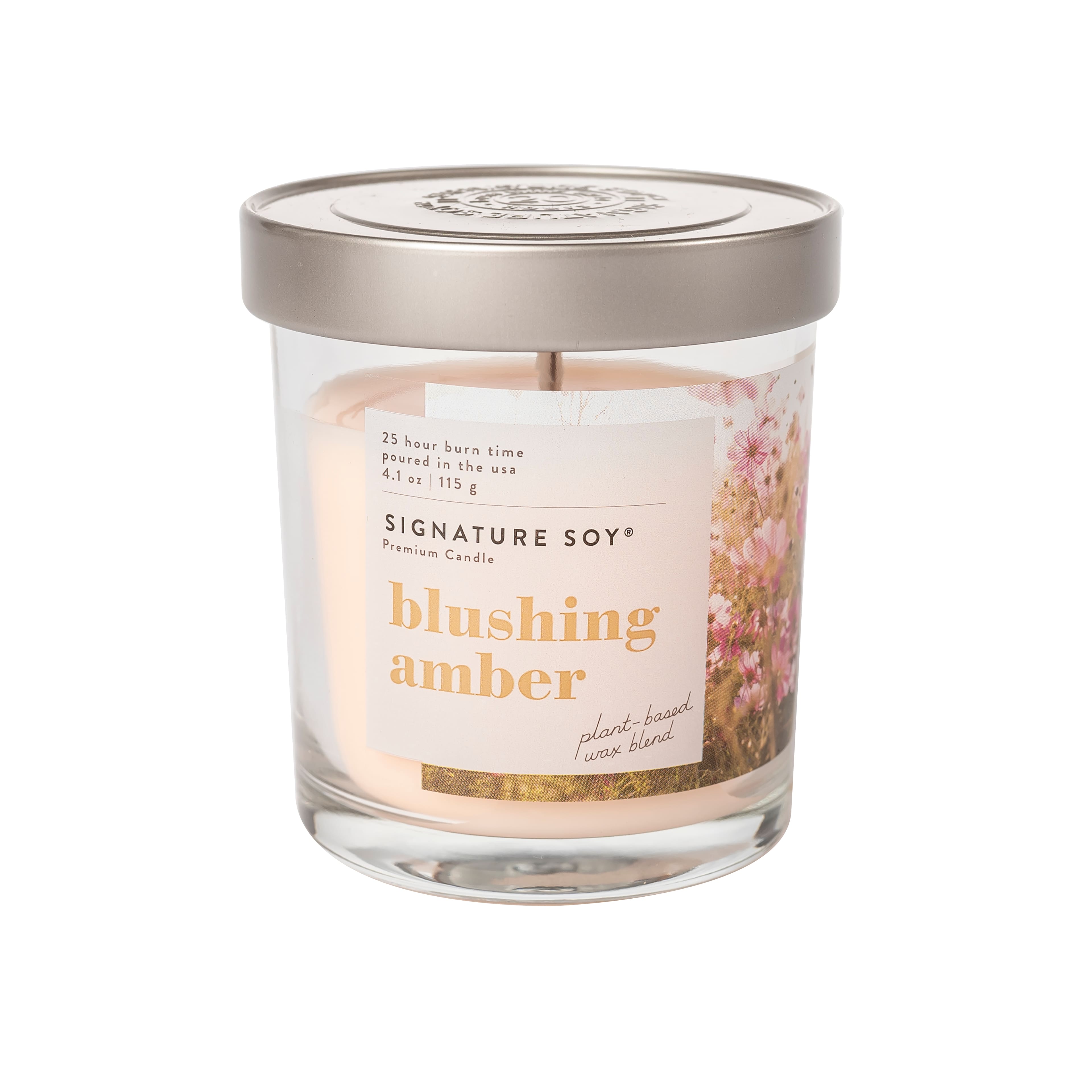 6 Pack: Signature Soy&#xAE; Jar Candle, 4.1oz.