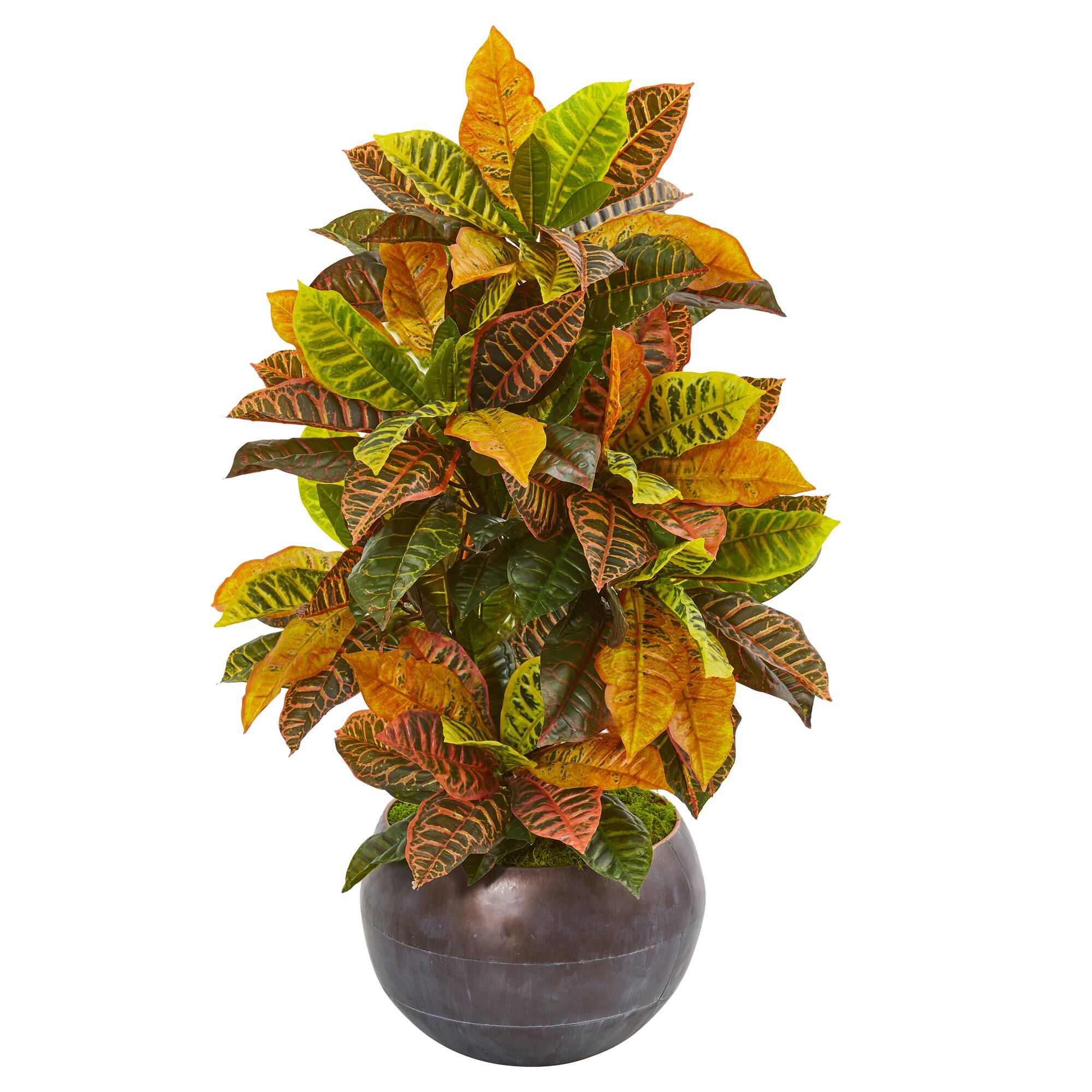 3ft. Croton Artificial Plant in Metal Bowl