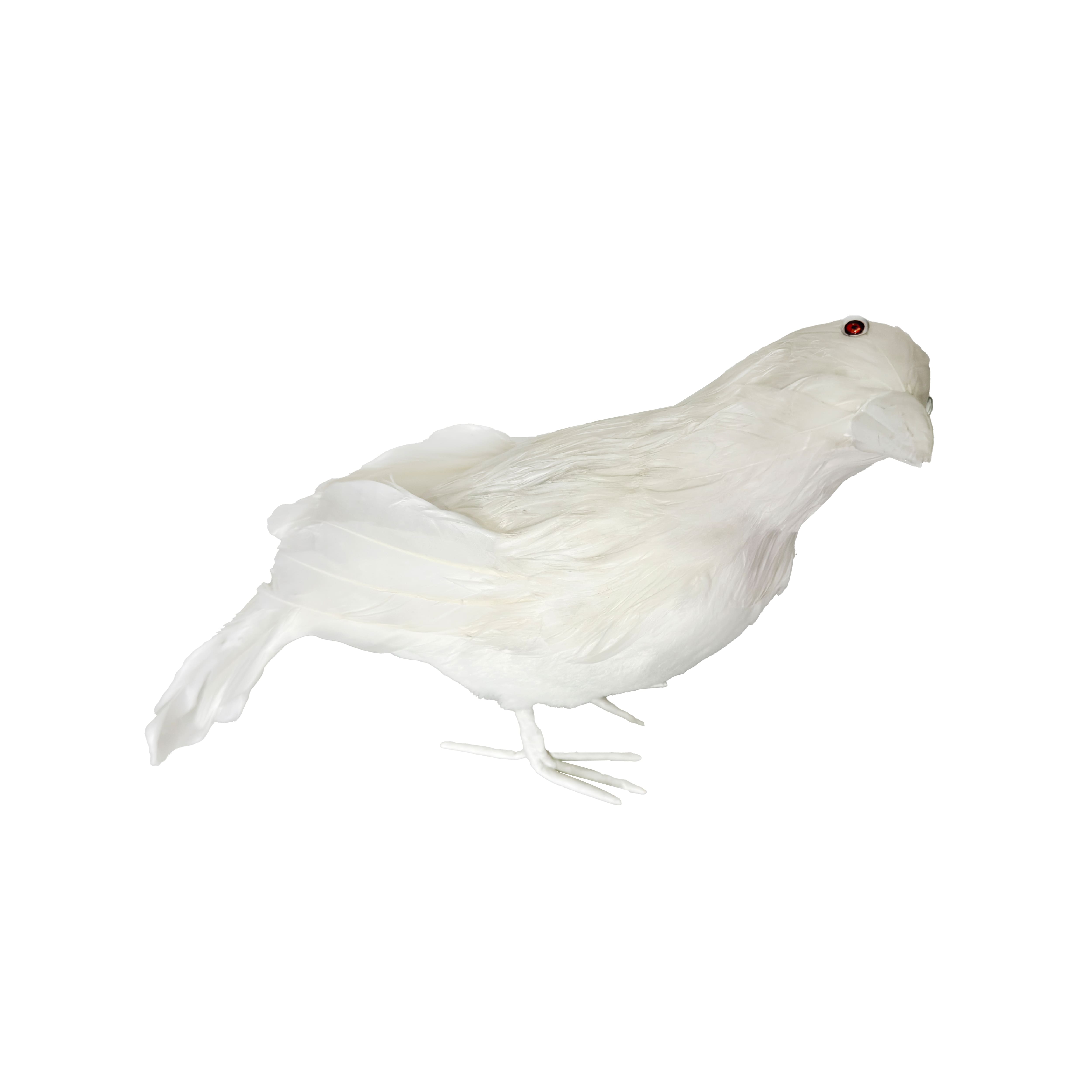 7.5&#x22; White Crow by Ashland&#xAE;