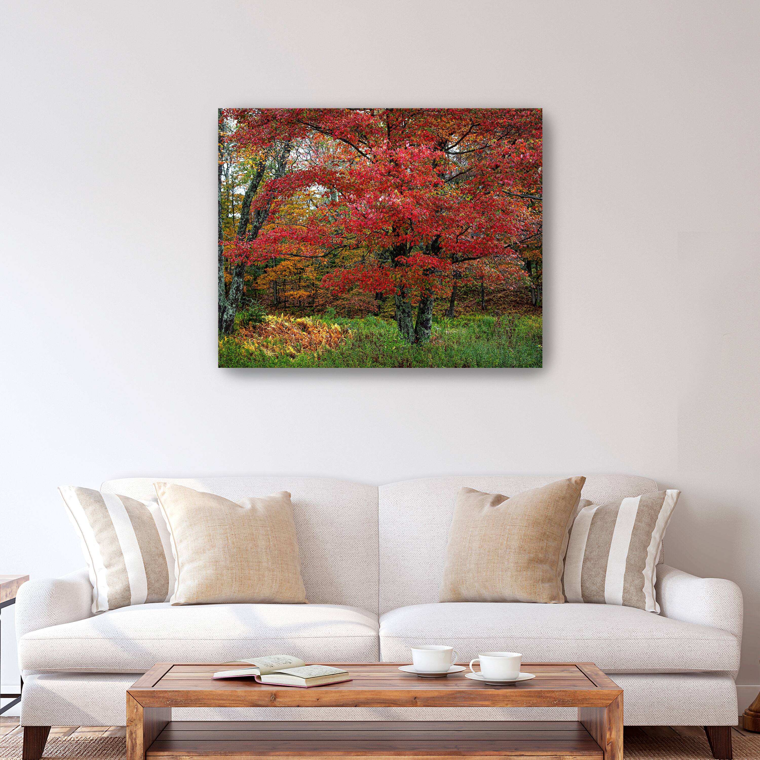 Lumaprints Catskill Maple Canvas Wall Art