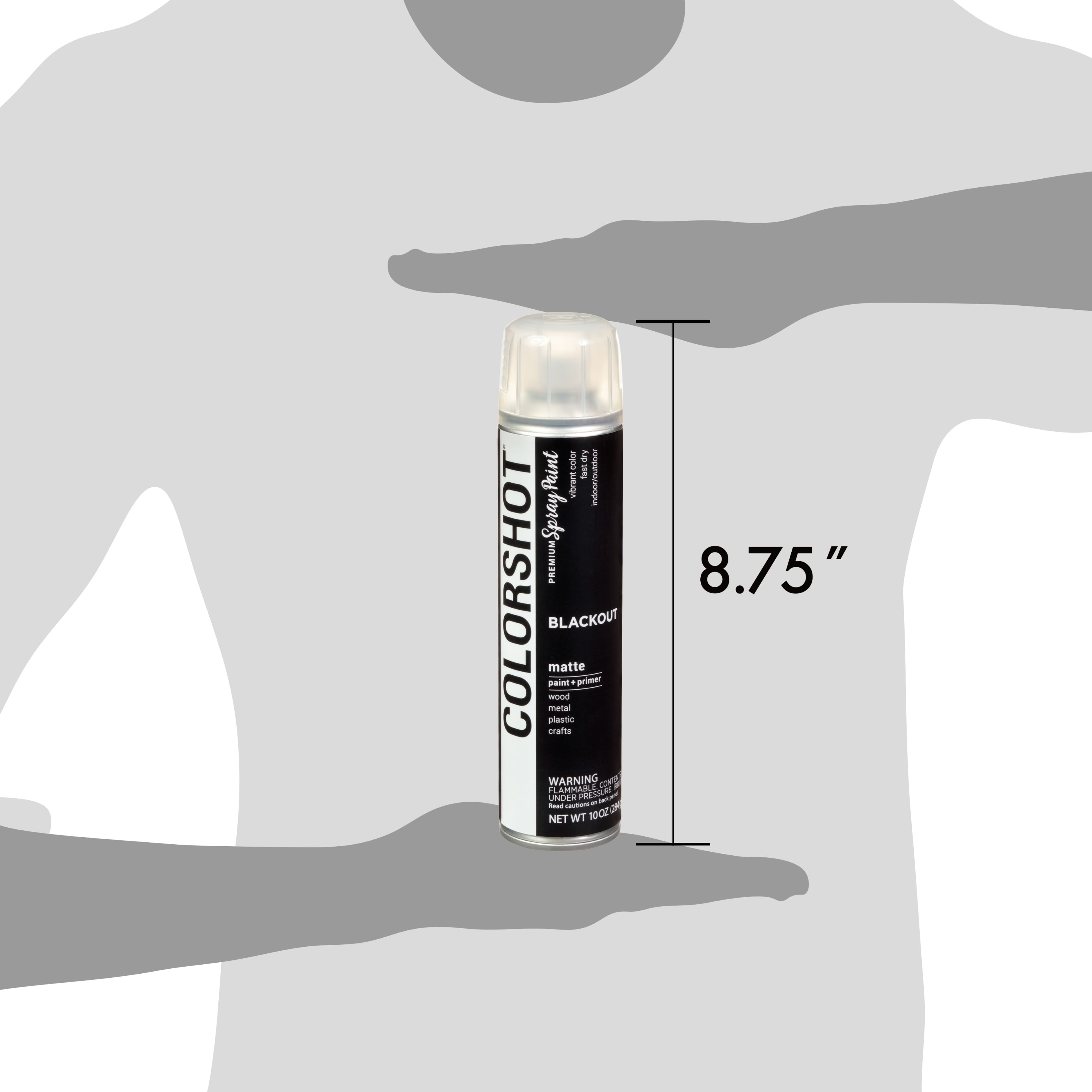 COLORSHOT® Blackout Matte Spray Paint