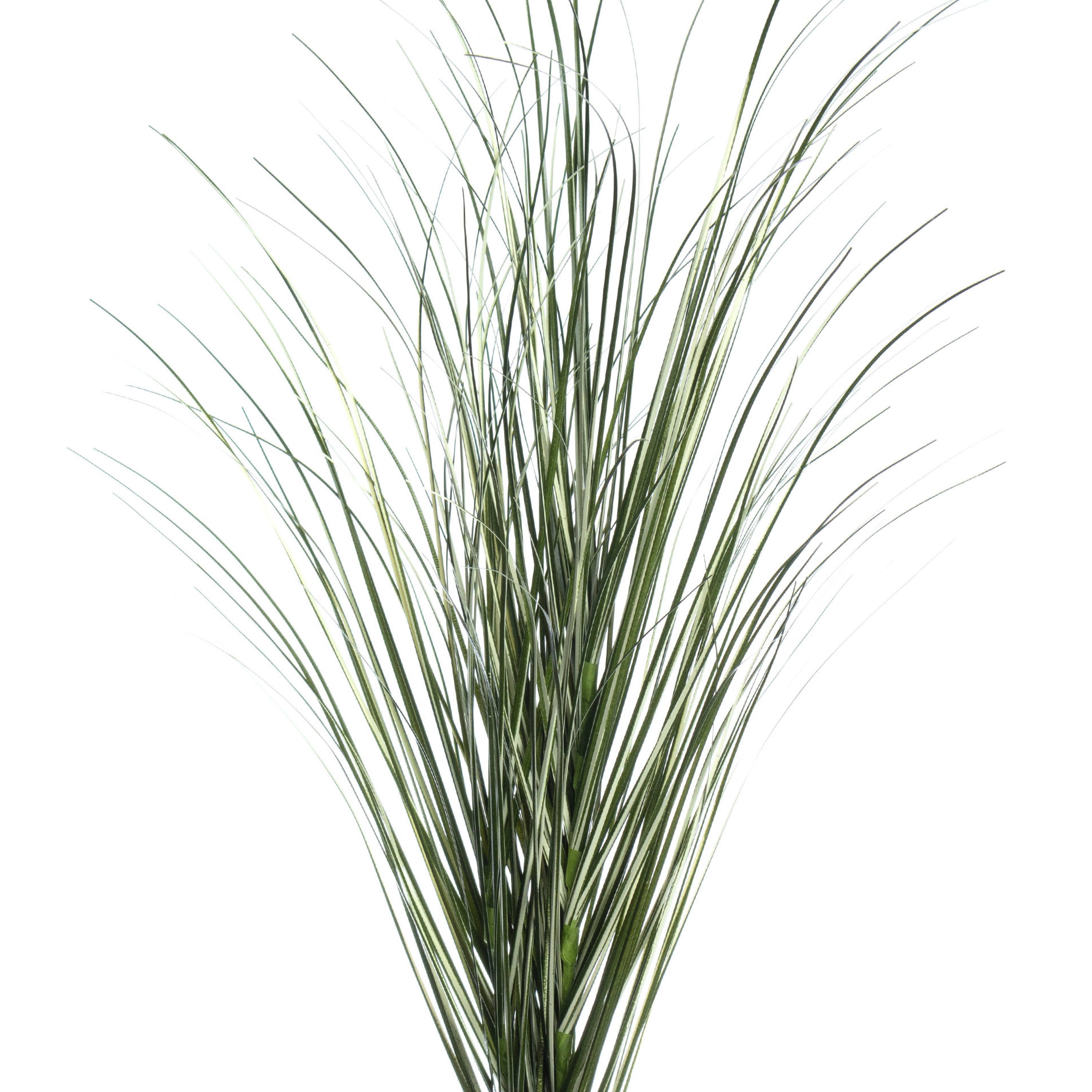 Tall Green Grass Stem by Ashland®