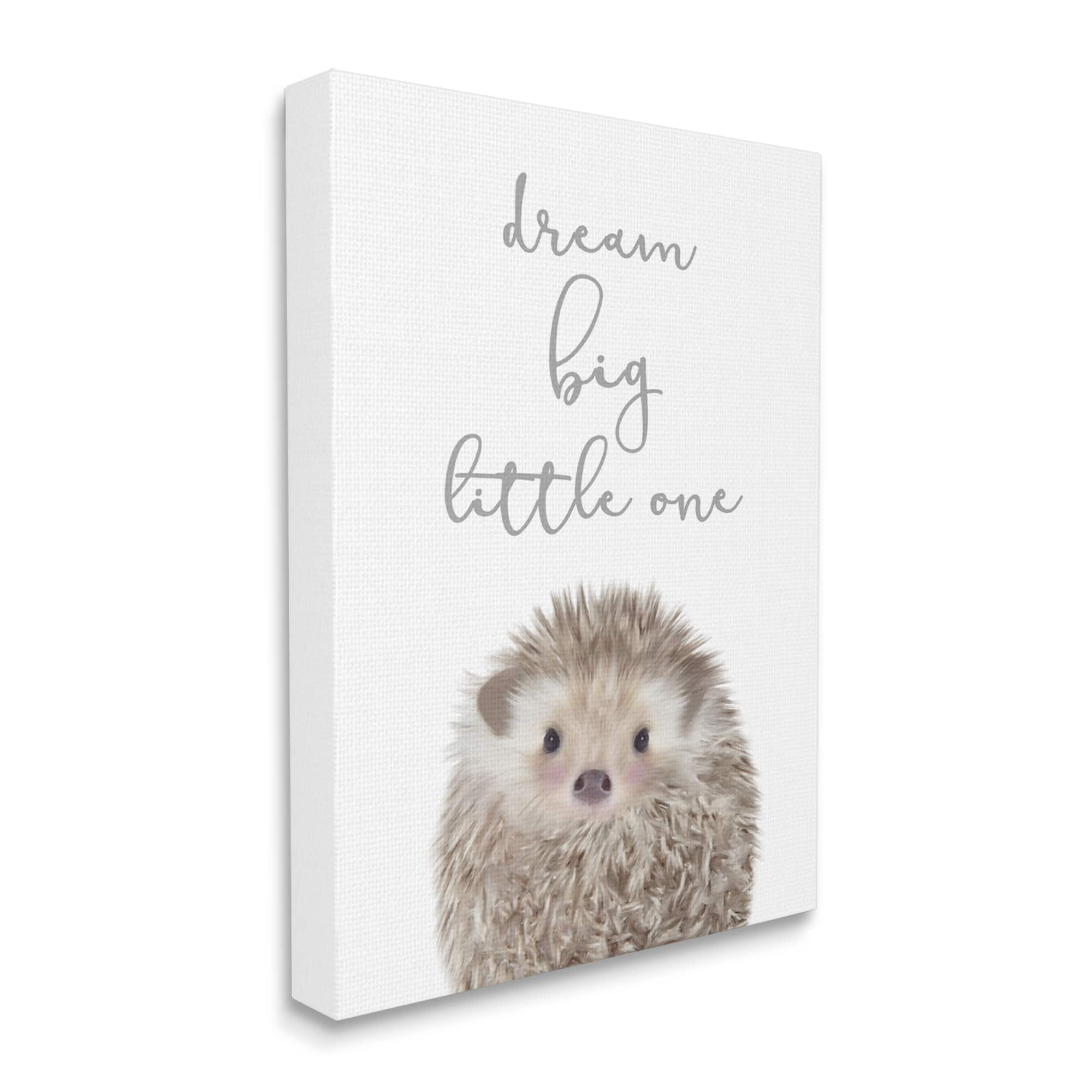 Stupell Industries Dream Big Little One Adorable Inspirational Hedgehog Canvas Wall Art