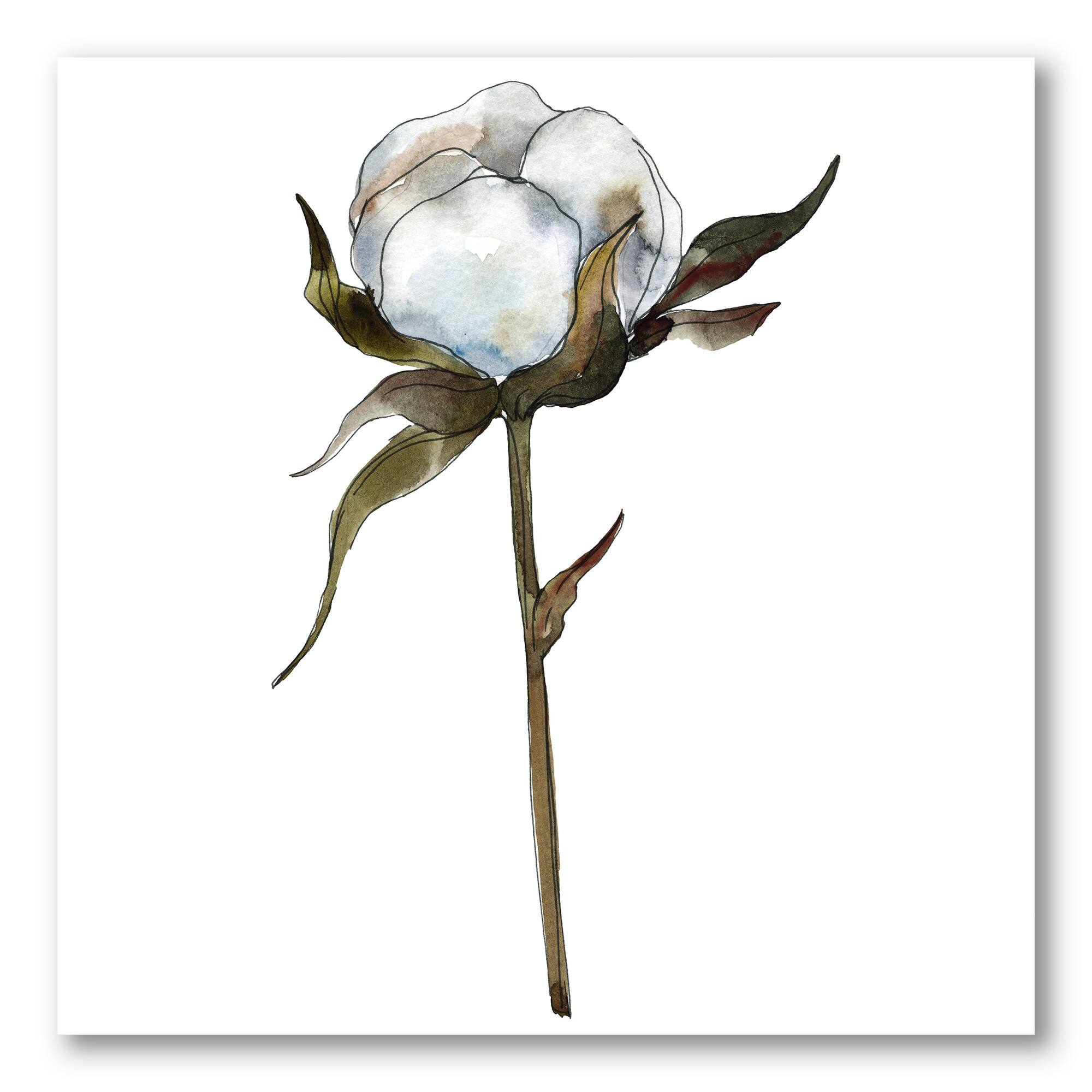 Designart - Retro Cotton Flower - Traditional Canvas Wall Art Print