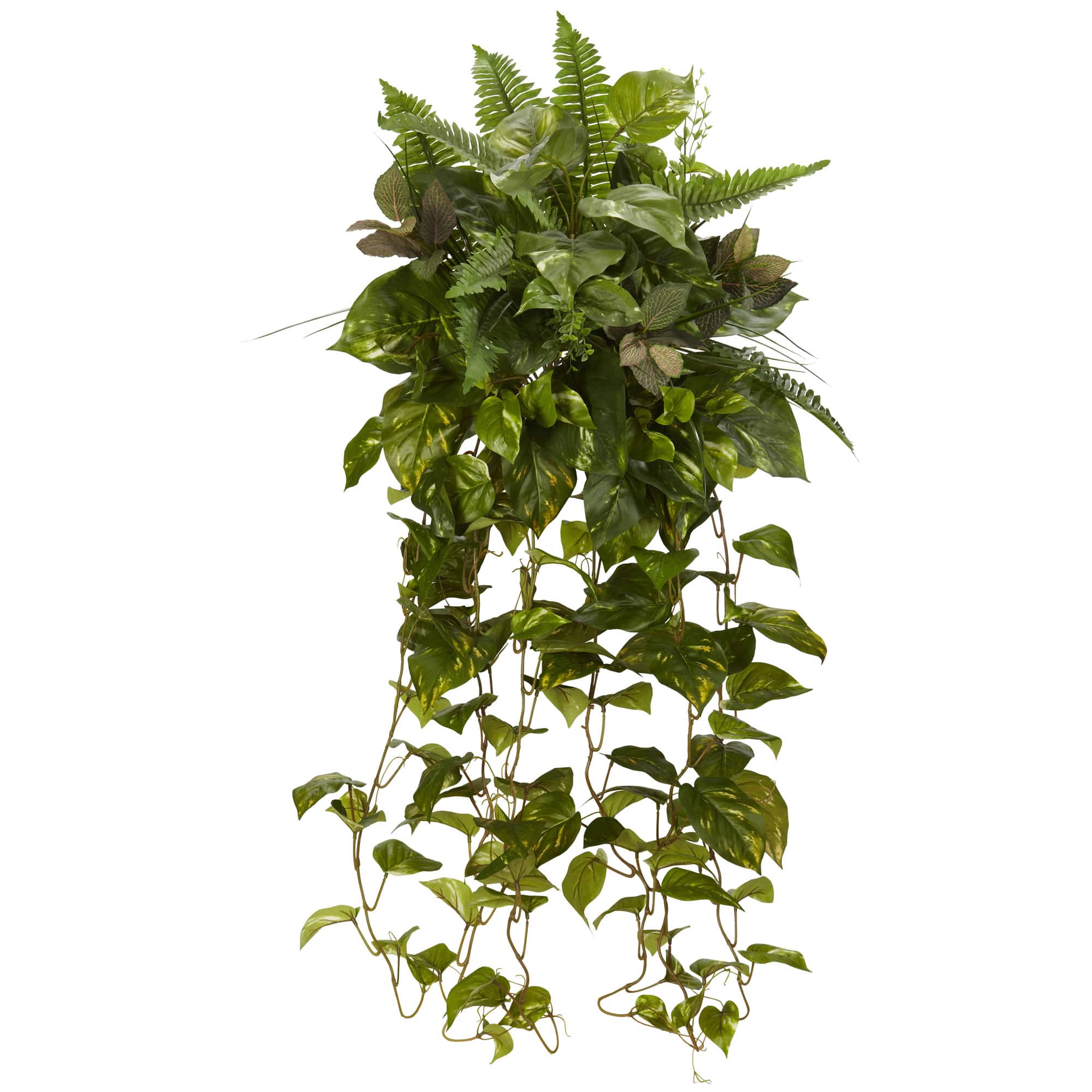 3ft. Mixed Greens Hanging Plant, 2ct.