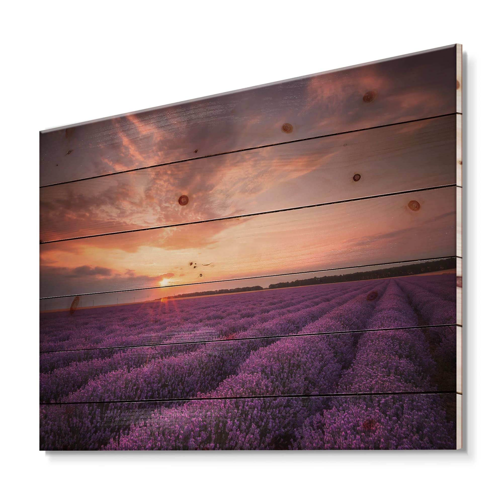 Designart - Sunrise &#x26; Dramatic Clouds Over Lavender Field XII - Farmhouse Print on Natural Pine Wood