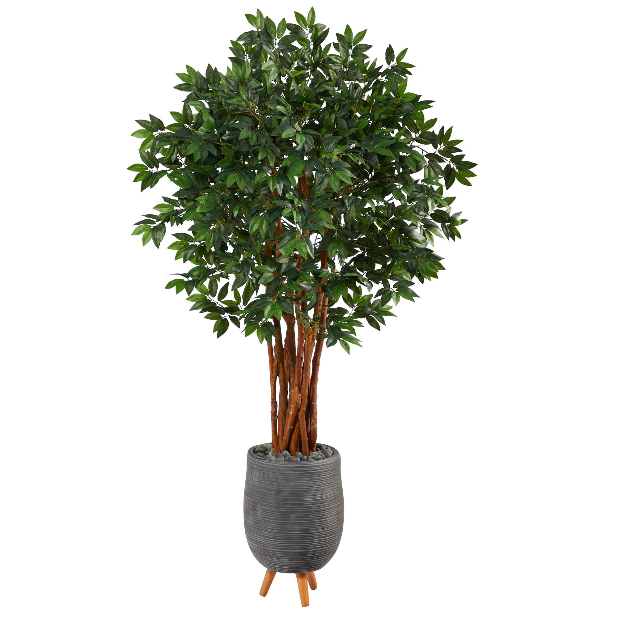 6ft. Lychee Tree in Gray Planter with Stand