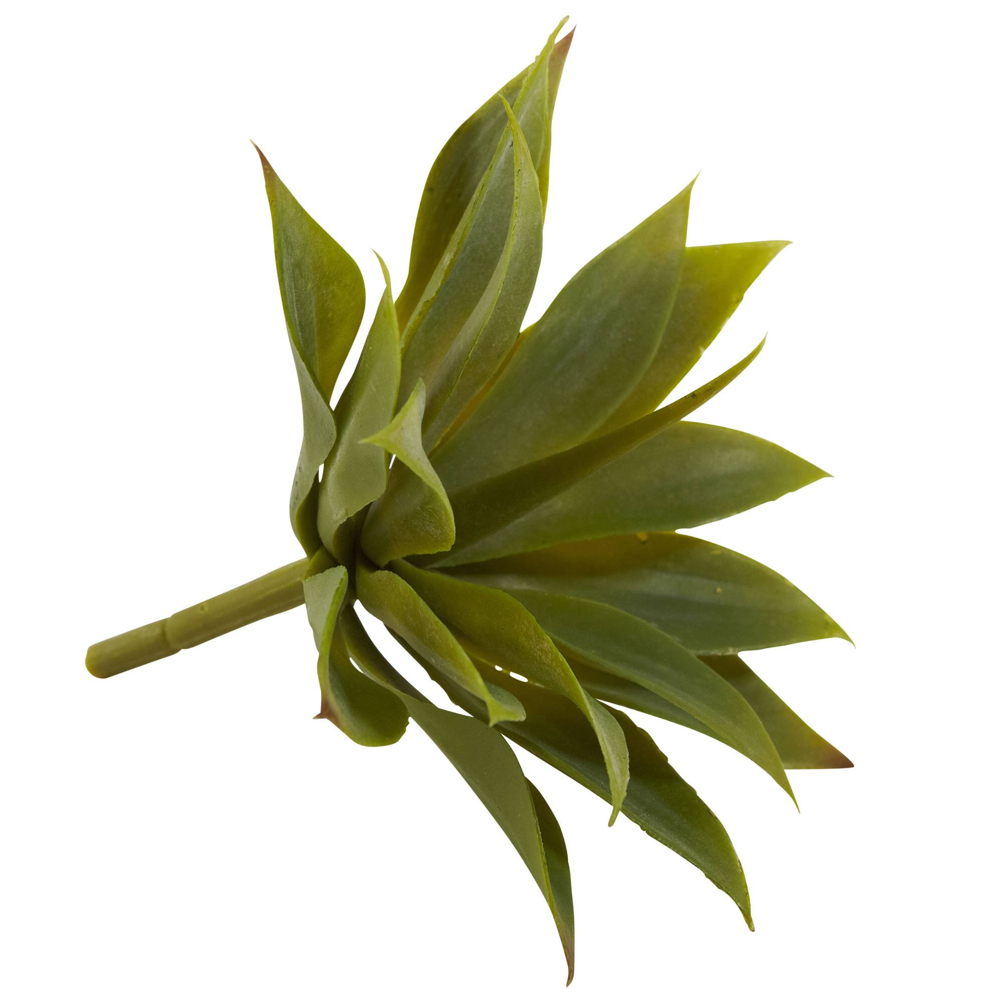 Agave Succulent Pick, 12ct.