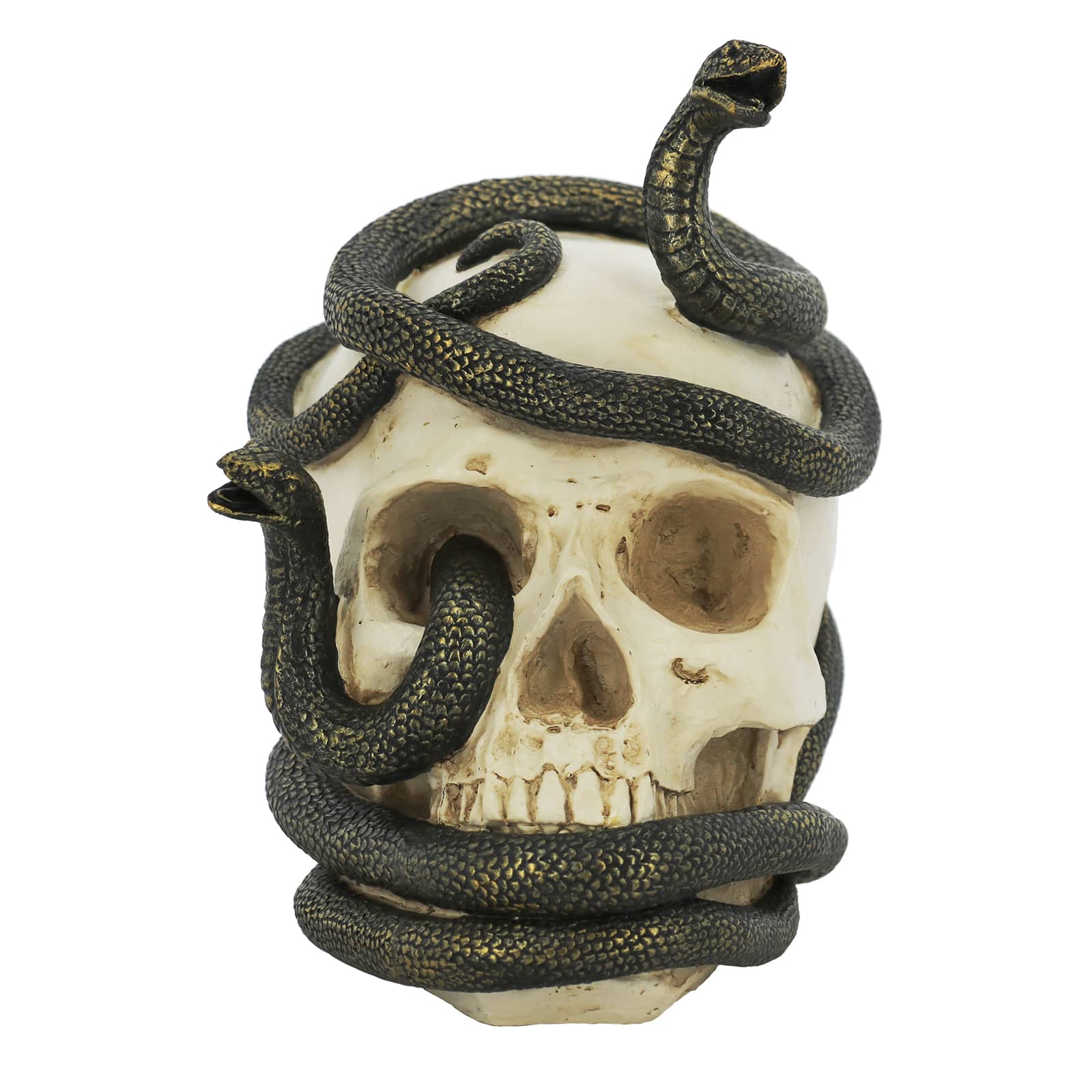 7.25&#x22; Snake-Entwined Skull Tabletop D&#xE9;cor by Ashland&#xAE;