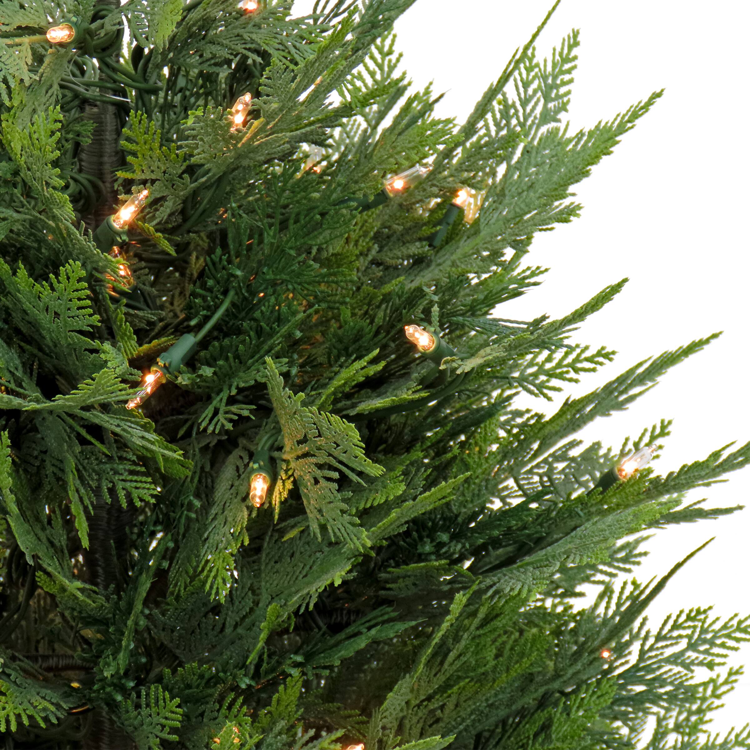 3ft. Pre-Lit Cypress Tree In Nursery Pot