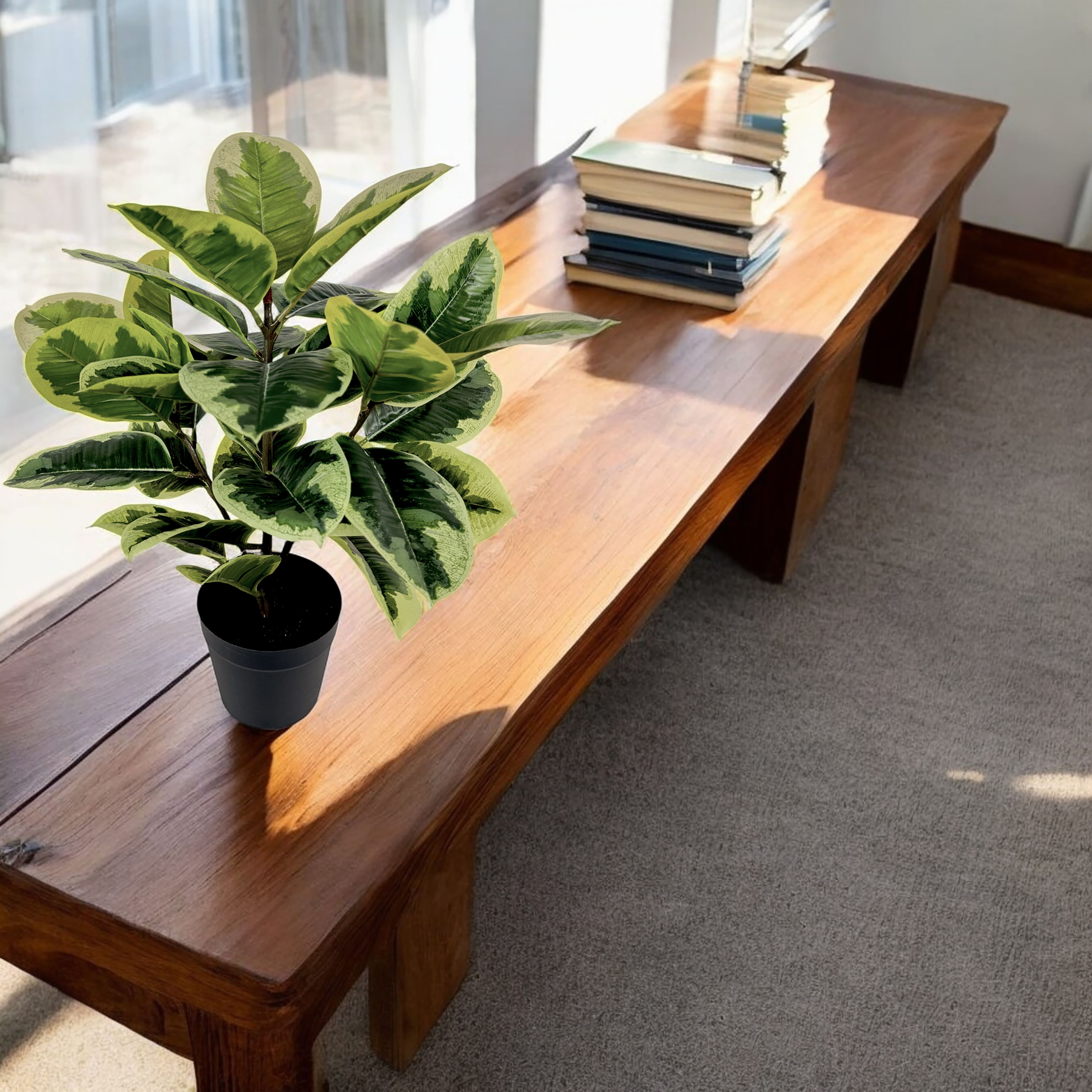 20&#x22; Ficus Plant by Ashland&#xAE;