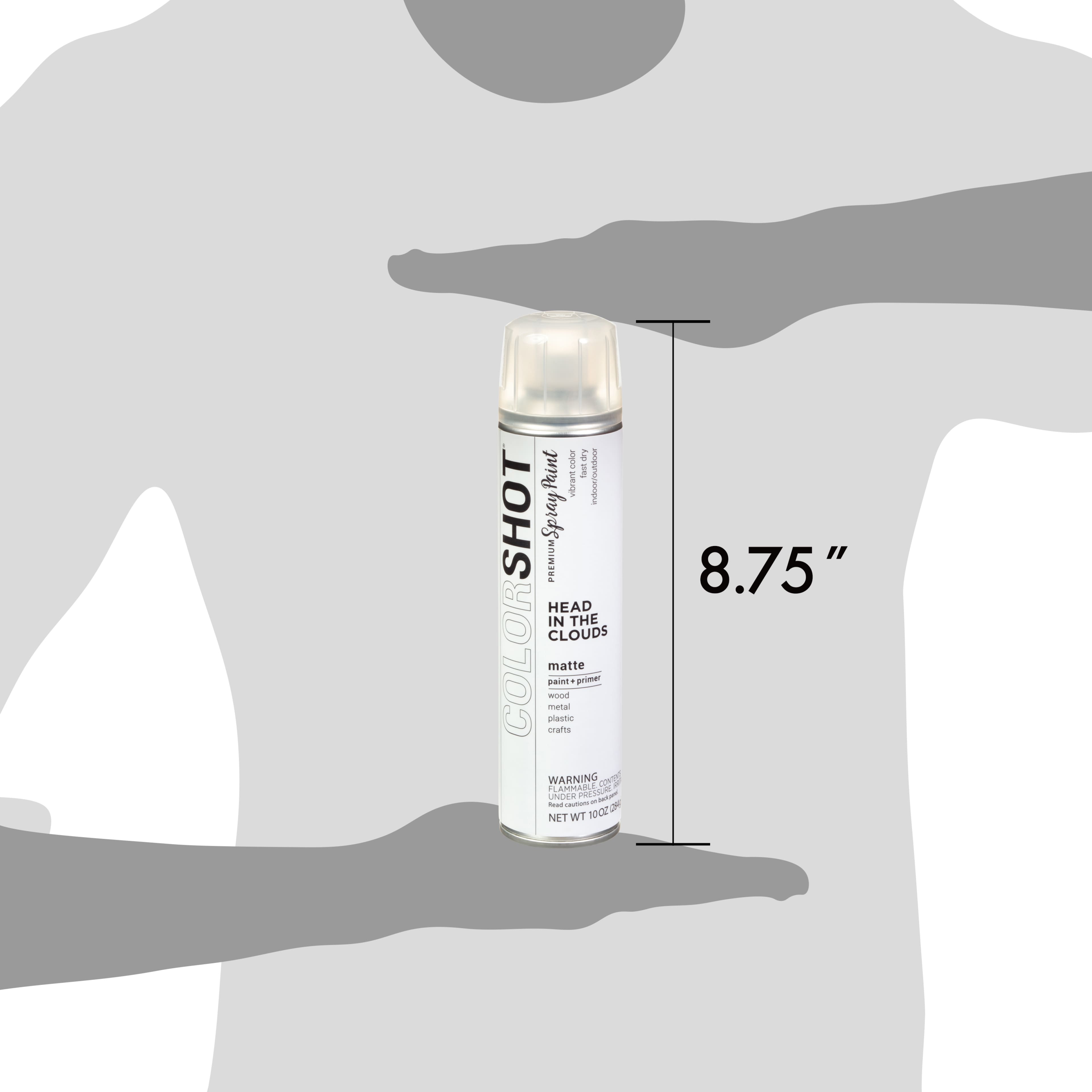 COLORSHOT® Head In the Clouds Matte Spray Paint