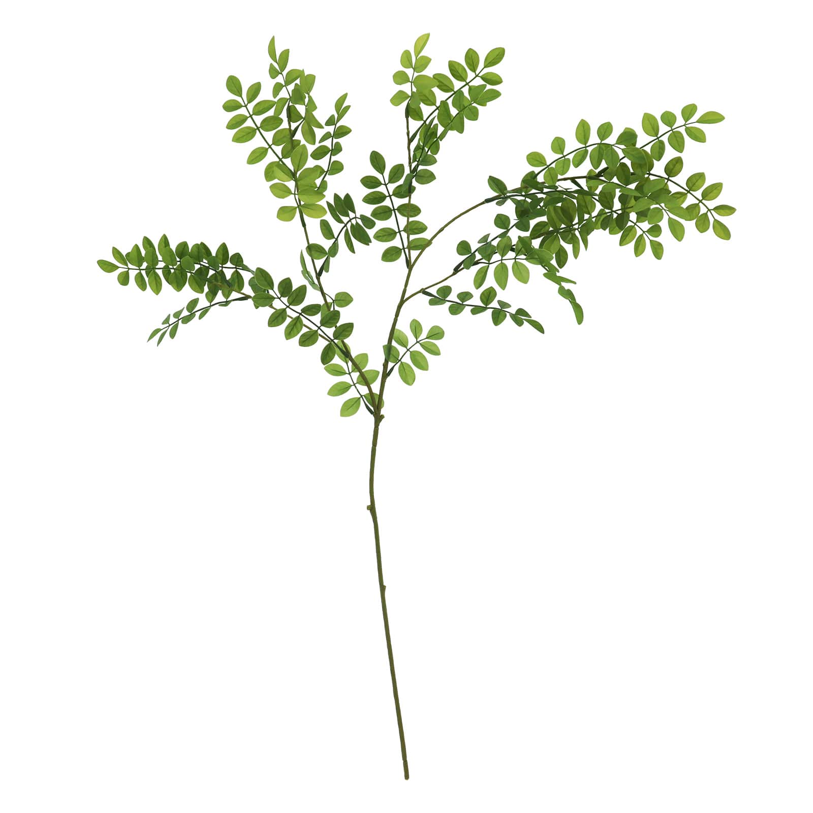 29&#x22; Green Hanging Acacia Leaves Stem by Ashland&#xAE;