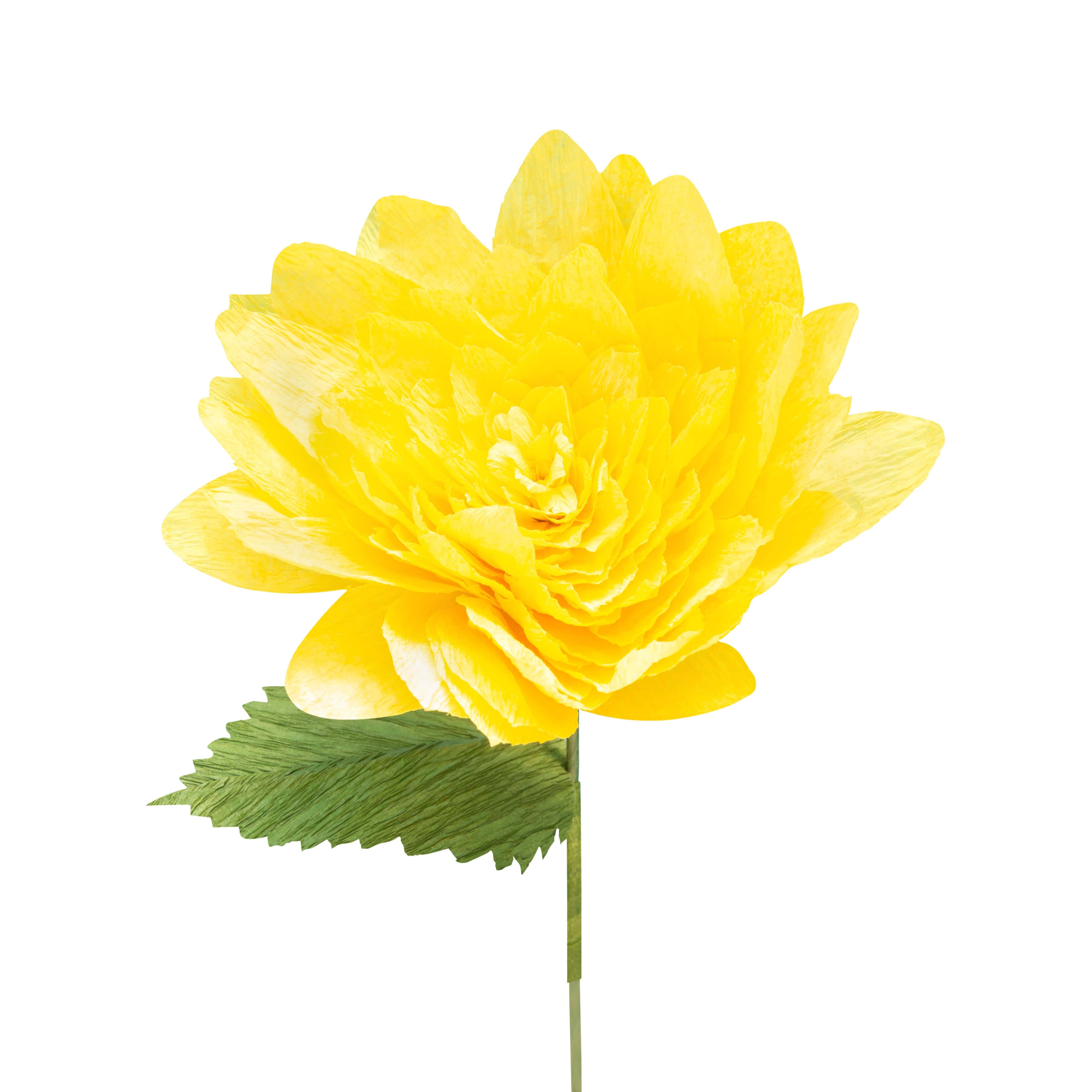 Small Dahlia Crepe Paper Flower Kit by Recollections&#x2122;