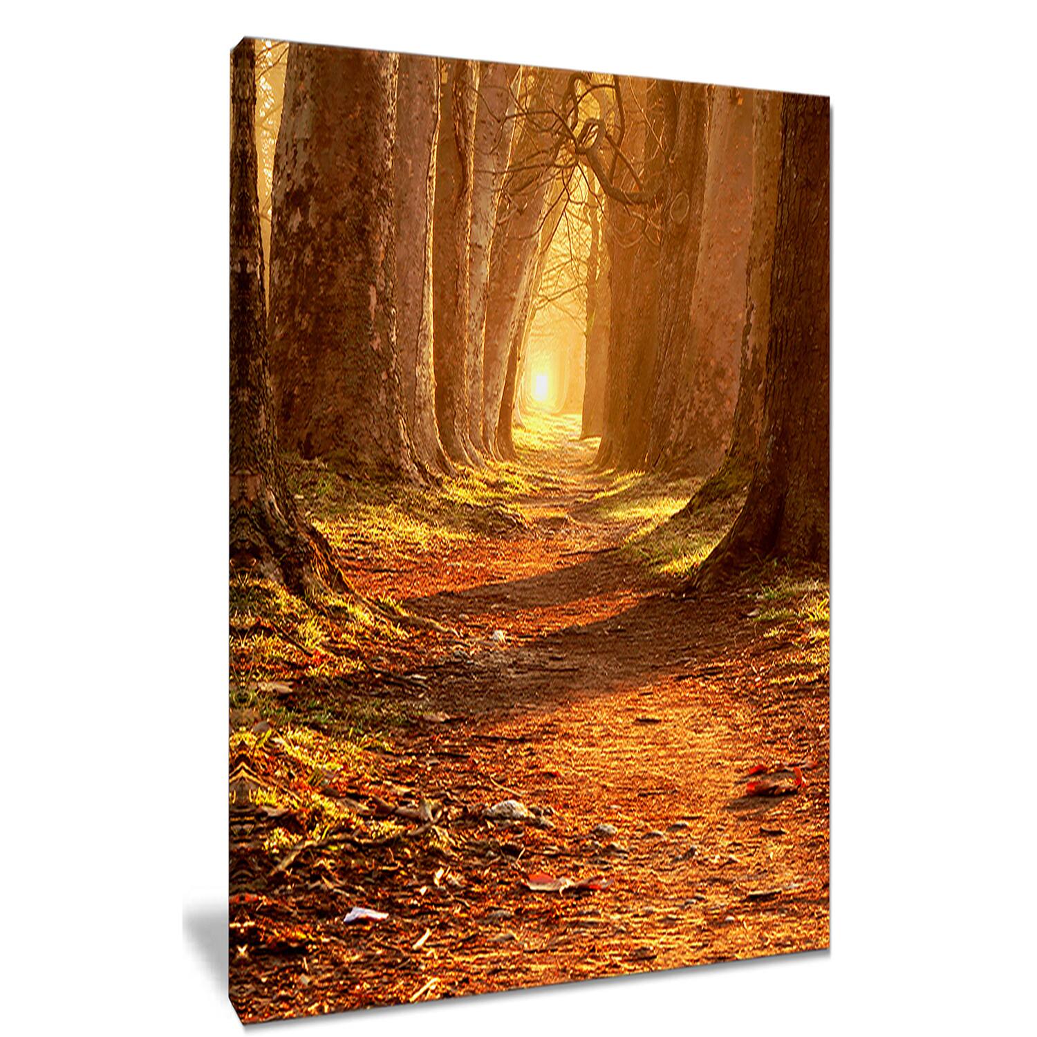 Designart - Magic Morning at the Fall Park - Landscape Photography Canvas Print