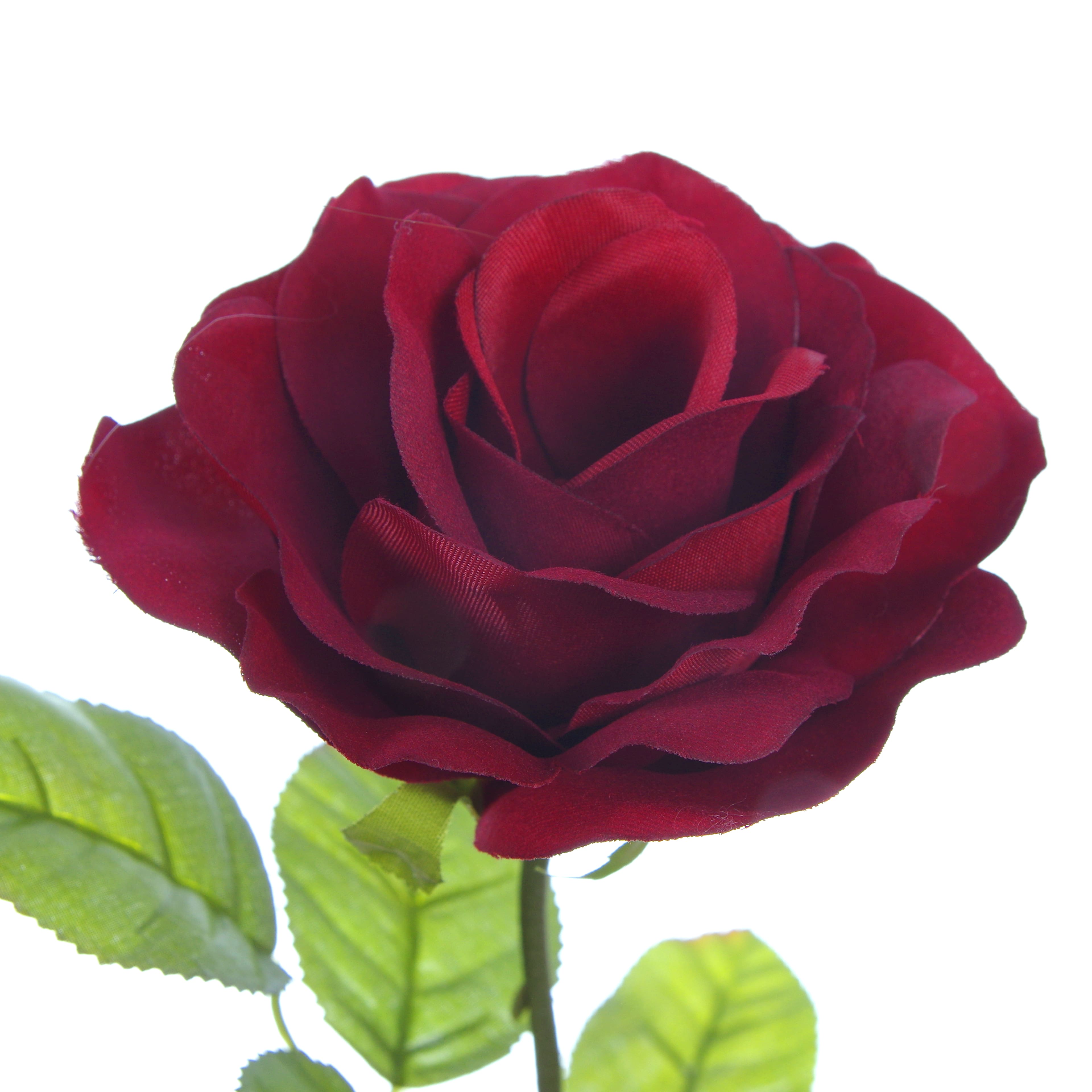 12 Pack: 24&#x22; Burgundy Holland Rose Stem by Ashland&#xAE;