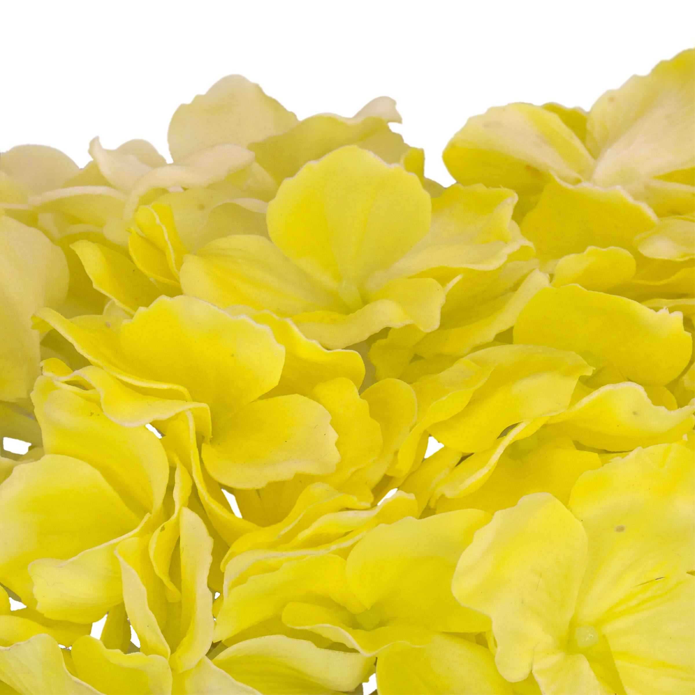 8" Hydrangea in Glass Vase