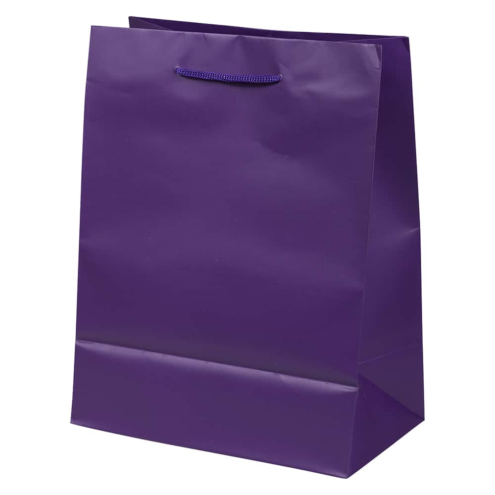 JAM Paper Medium Gift Bags with Rope Handles, 3ct.