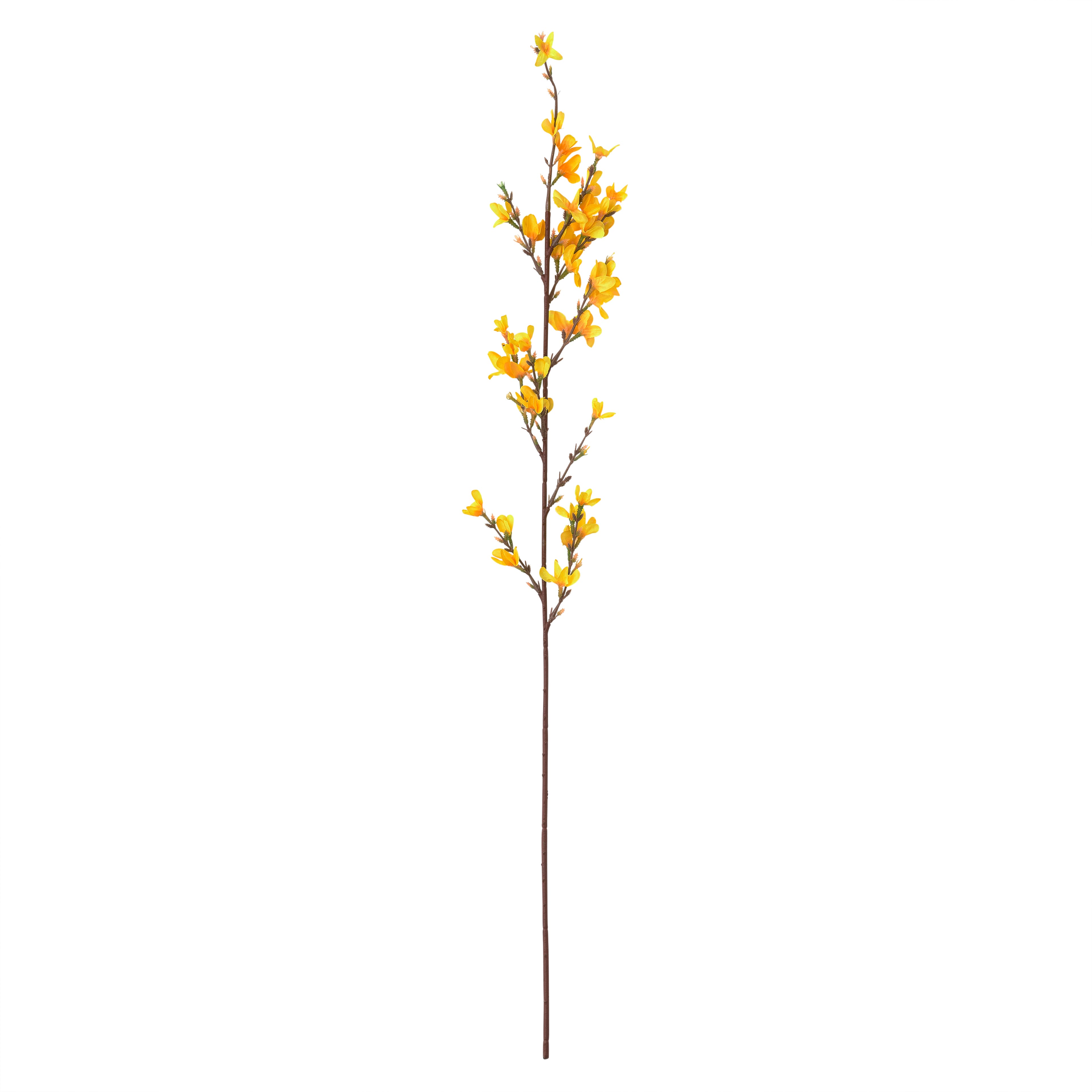 12 Pack: Yellow Forsythia Branch Spray by Ashland&#xAE;