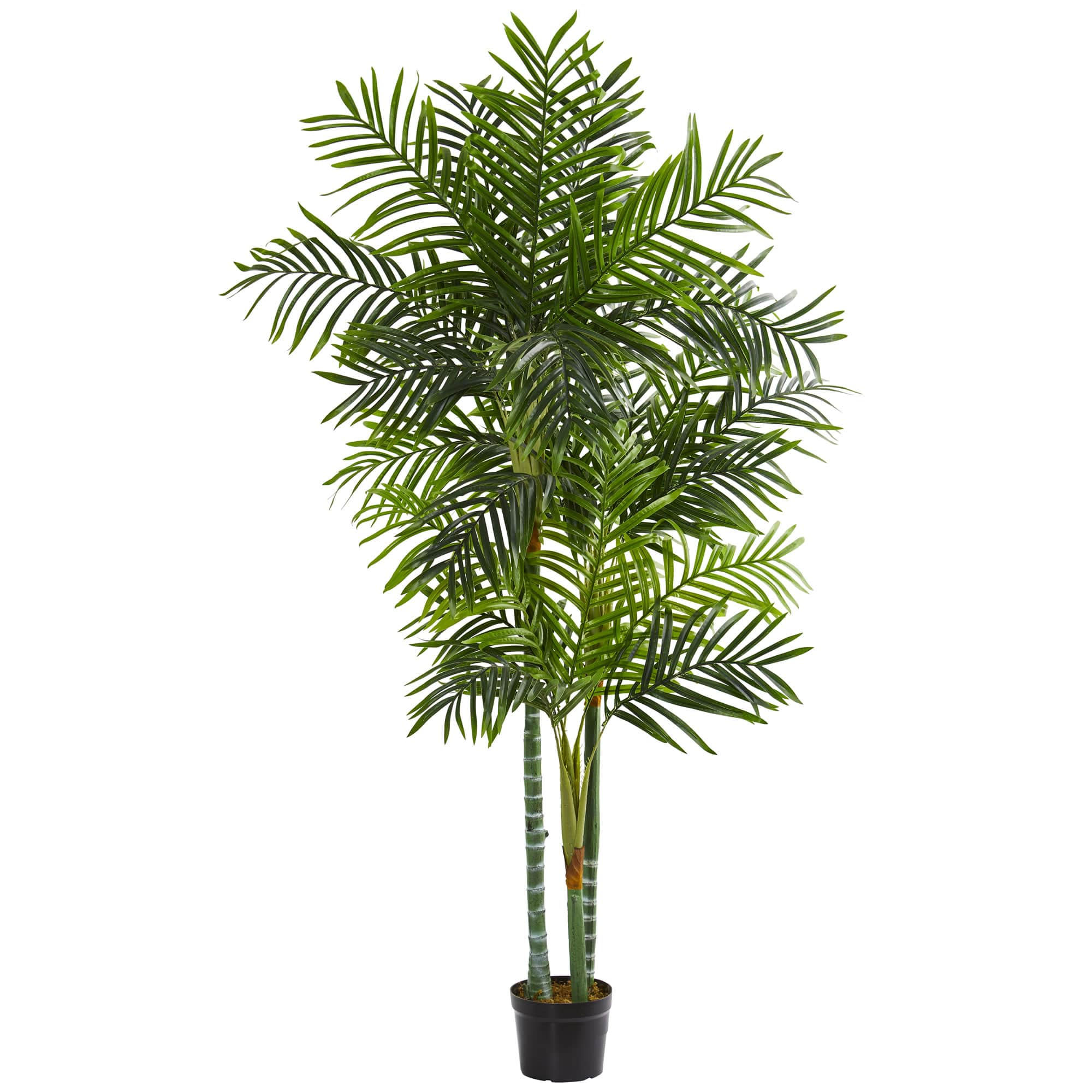 7.5ft. Potted Areca Palm Tree