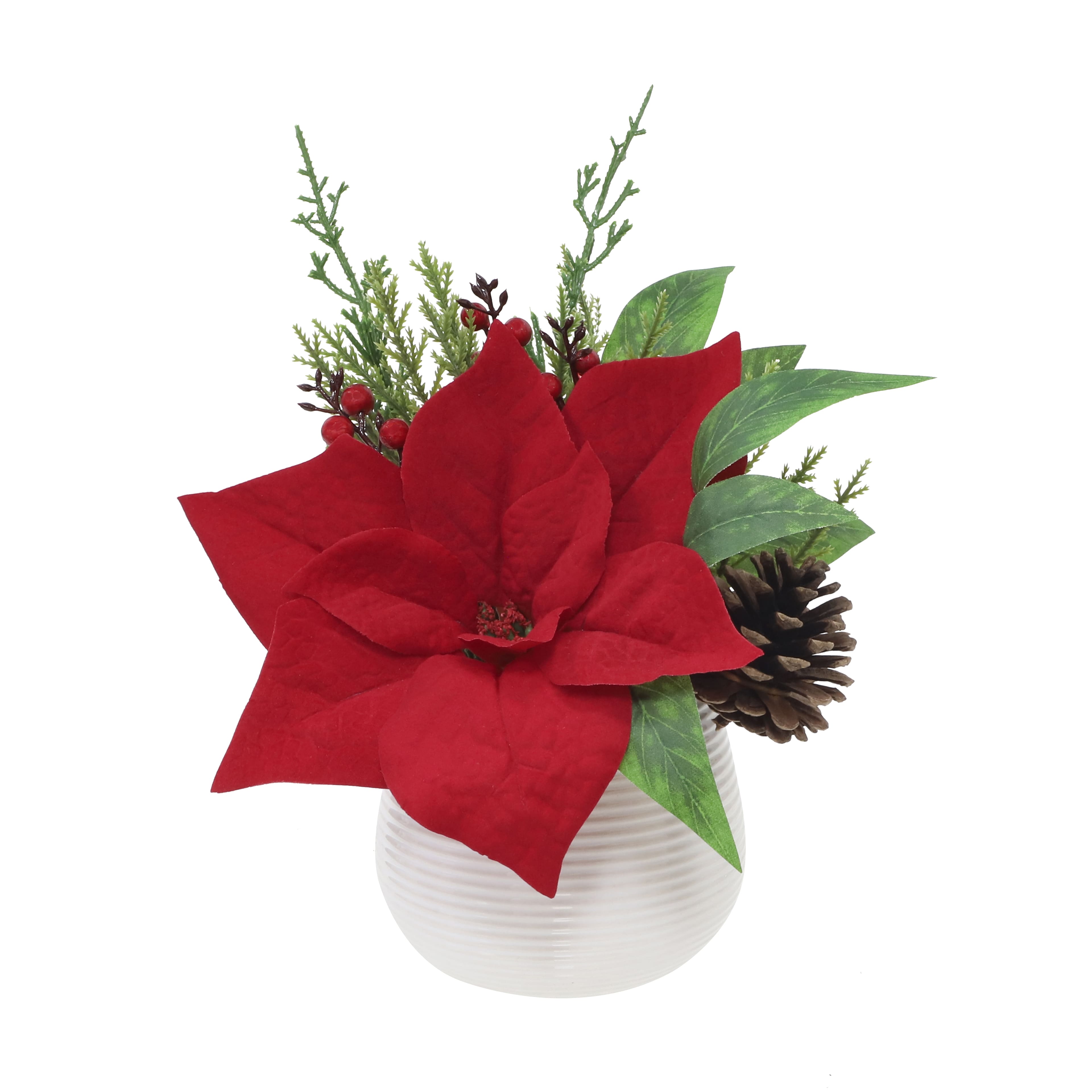10.5" Red Poinsettia, Cedar & Pinecone Arrangement in White Ceramic Pot by Ashland®