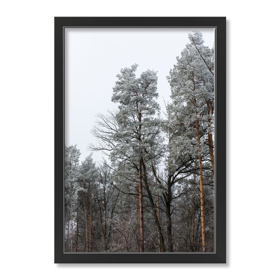 Dusty Trees Black Framed Print Under Plexiglass | Michaels