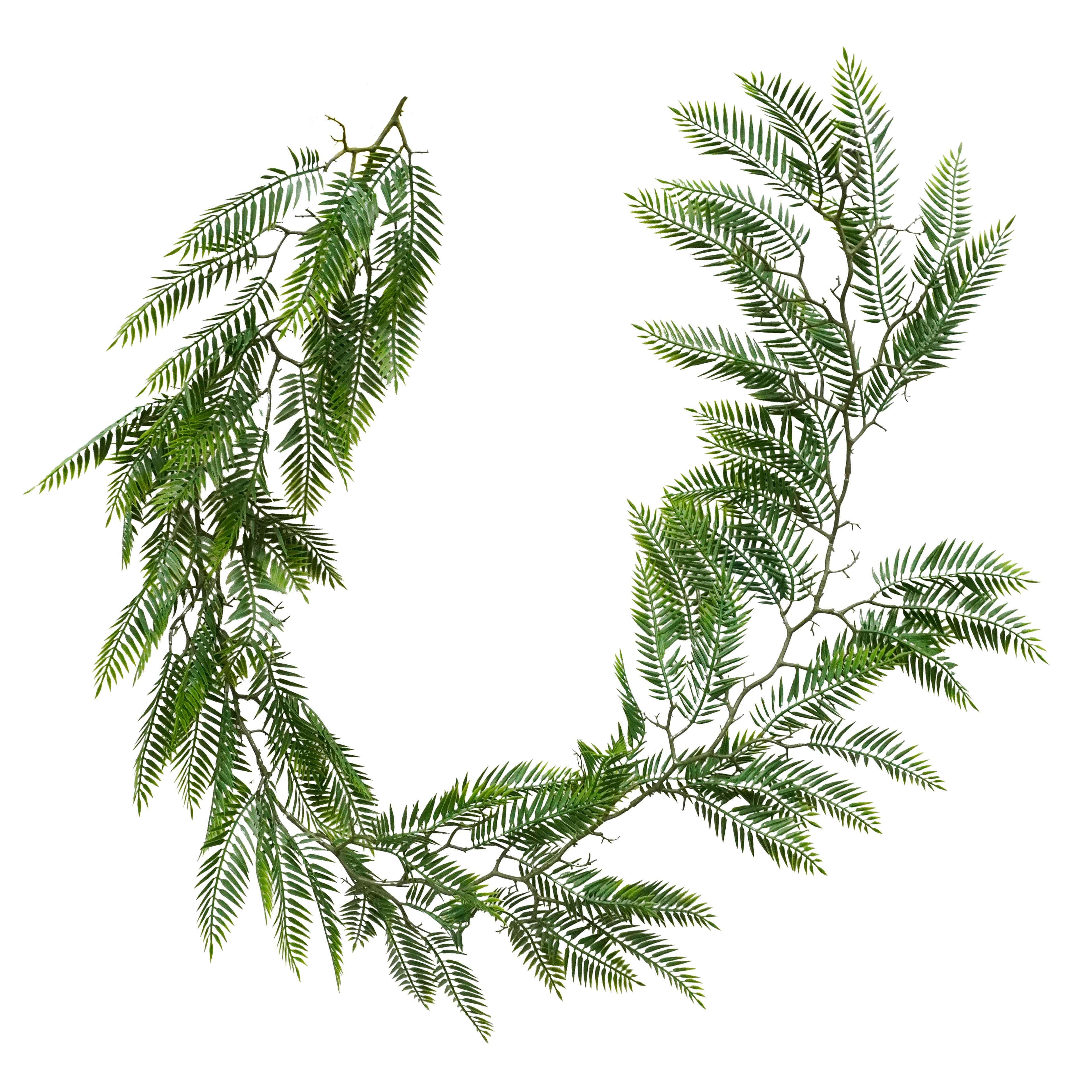 6ft. Green Fern Garland by Ashland&#xAE;