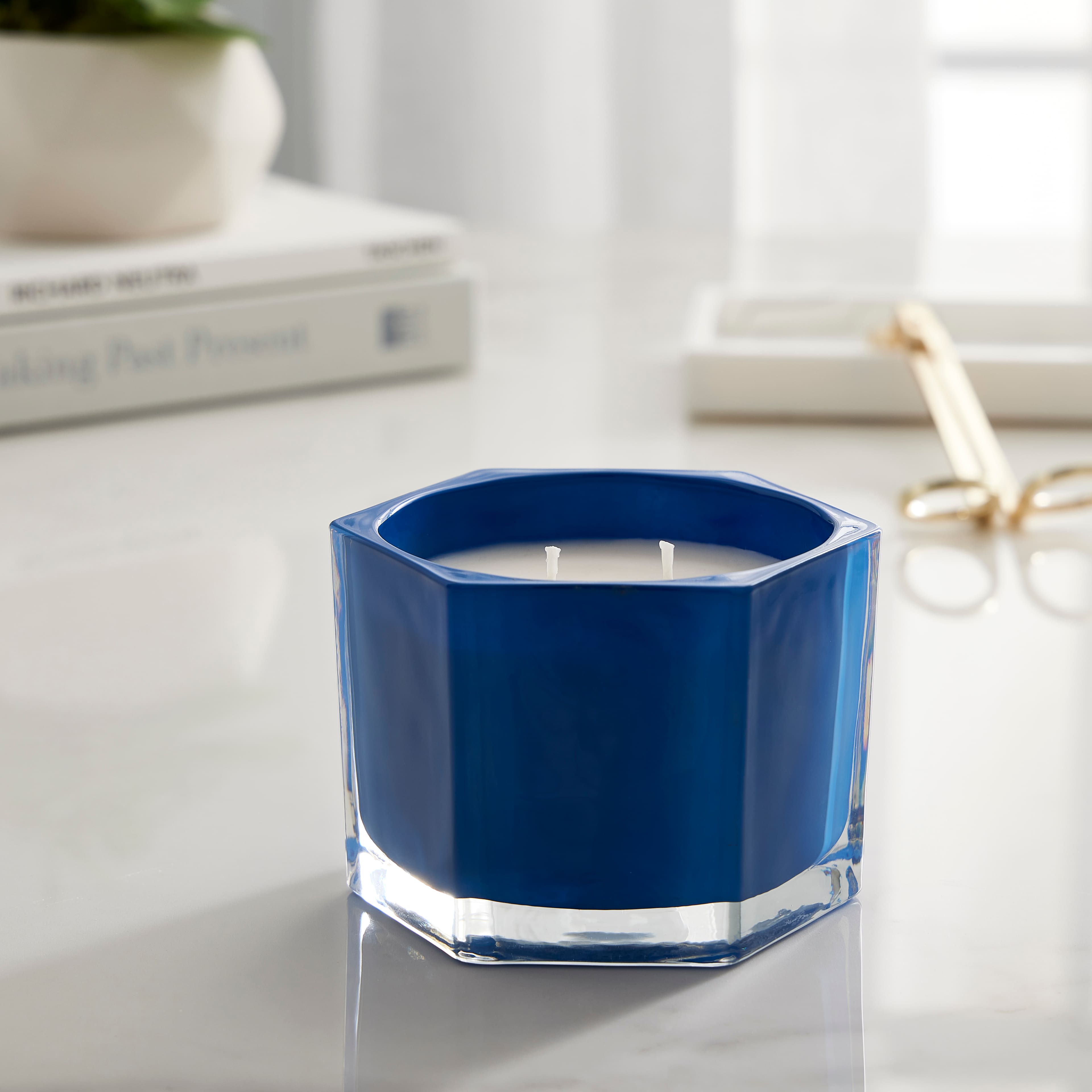 Blue Plum &#x26; Currant 2-Wick Jar Candle by Ashland&#xAE;