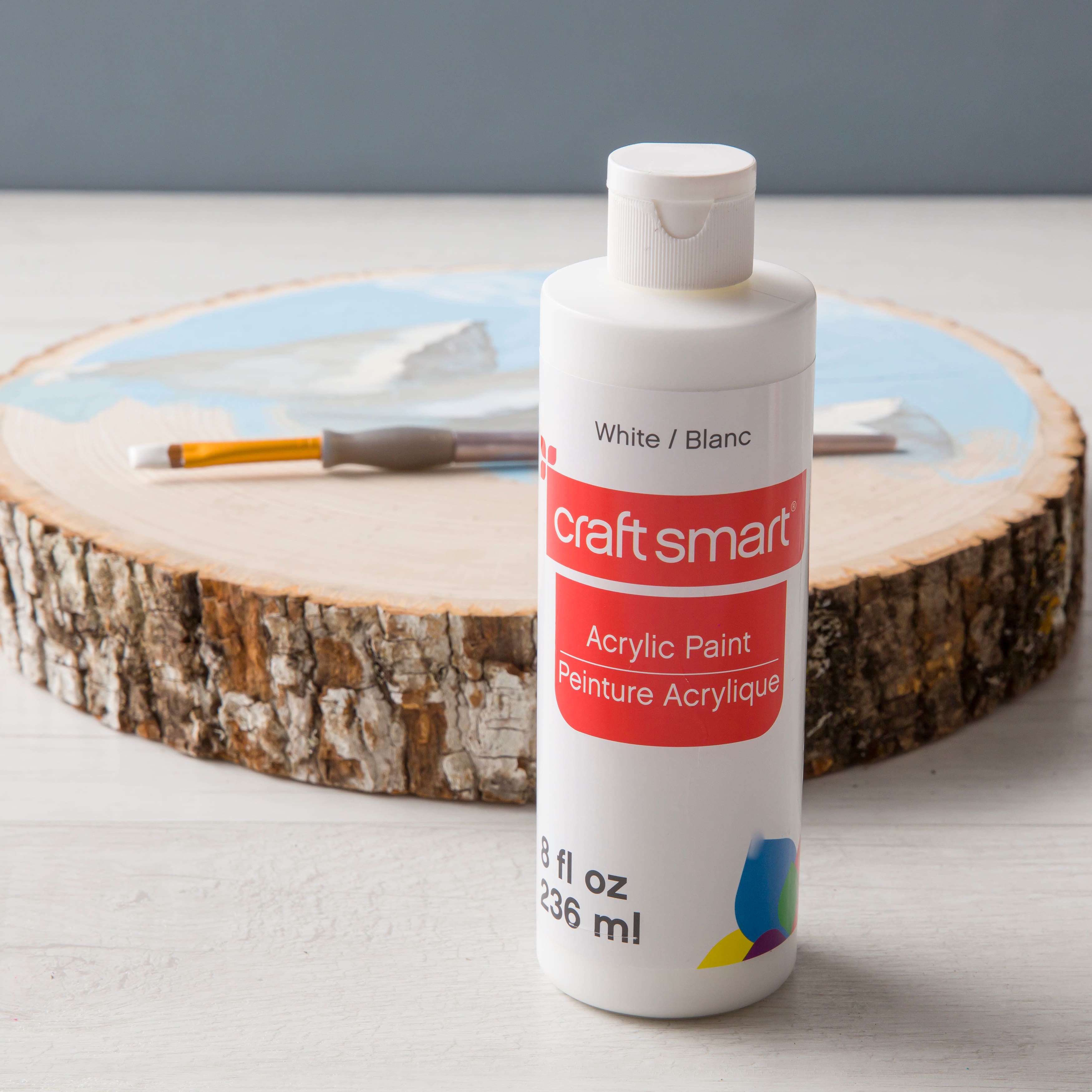 Craft Smart Acrylic Paint 2 Fl.oz. 1 Bottle 50 + Colors (Silver)