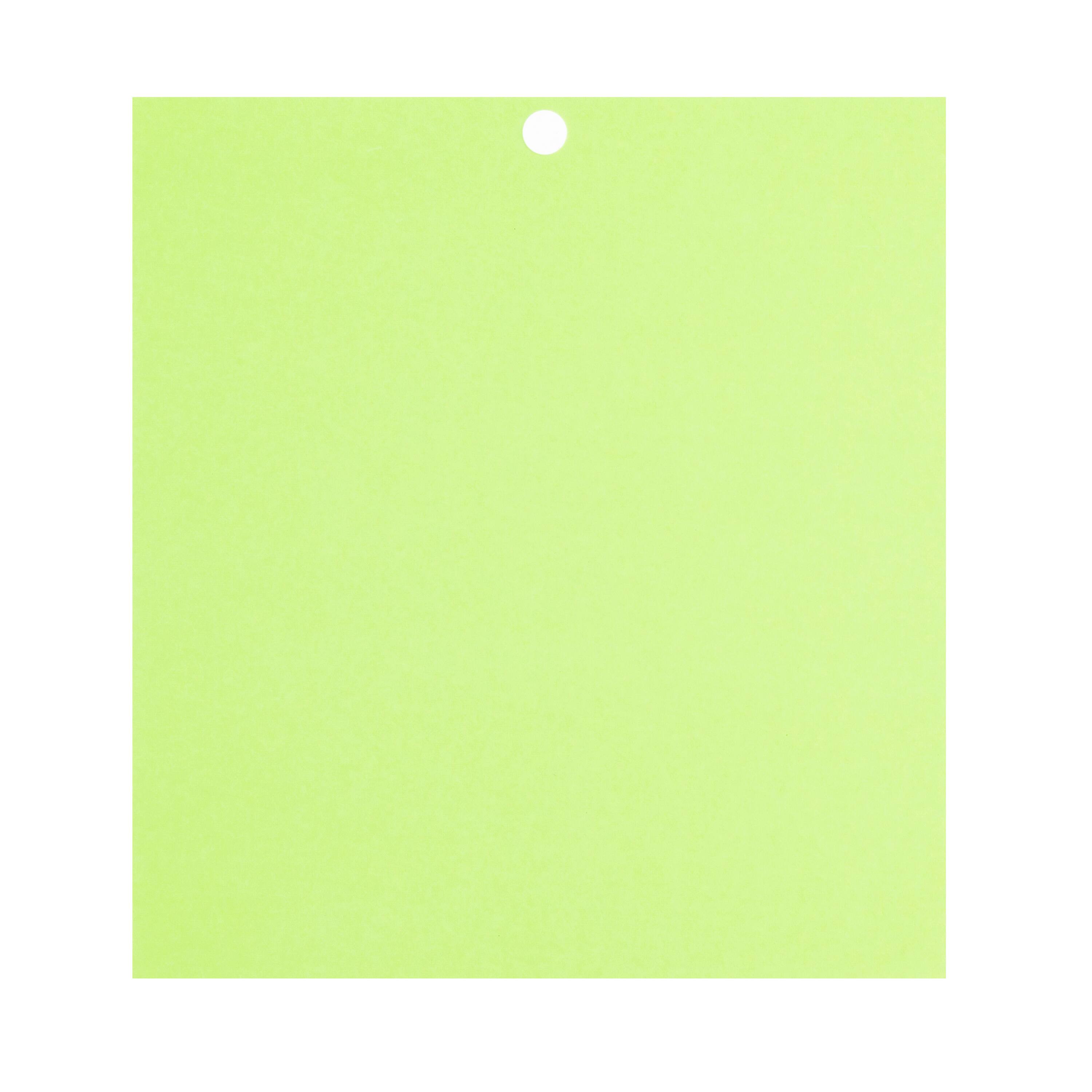 Feathered Green 6" x 6.5" Cardstock Paper by Recollections™, 100 Sheets