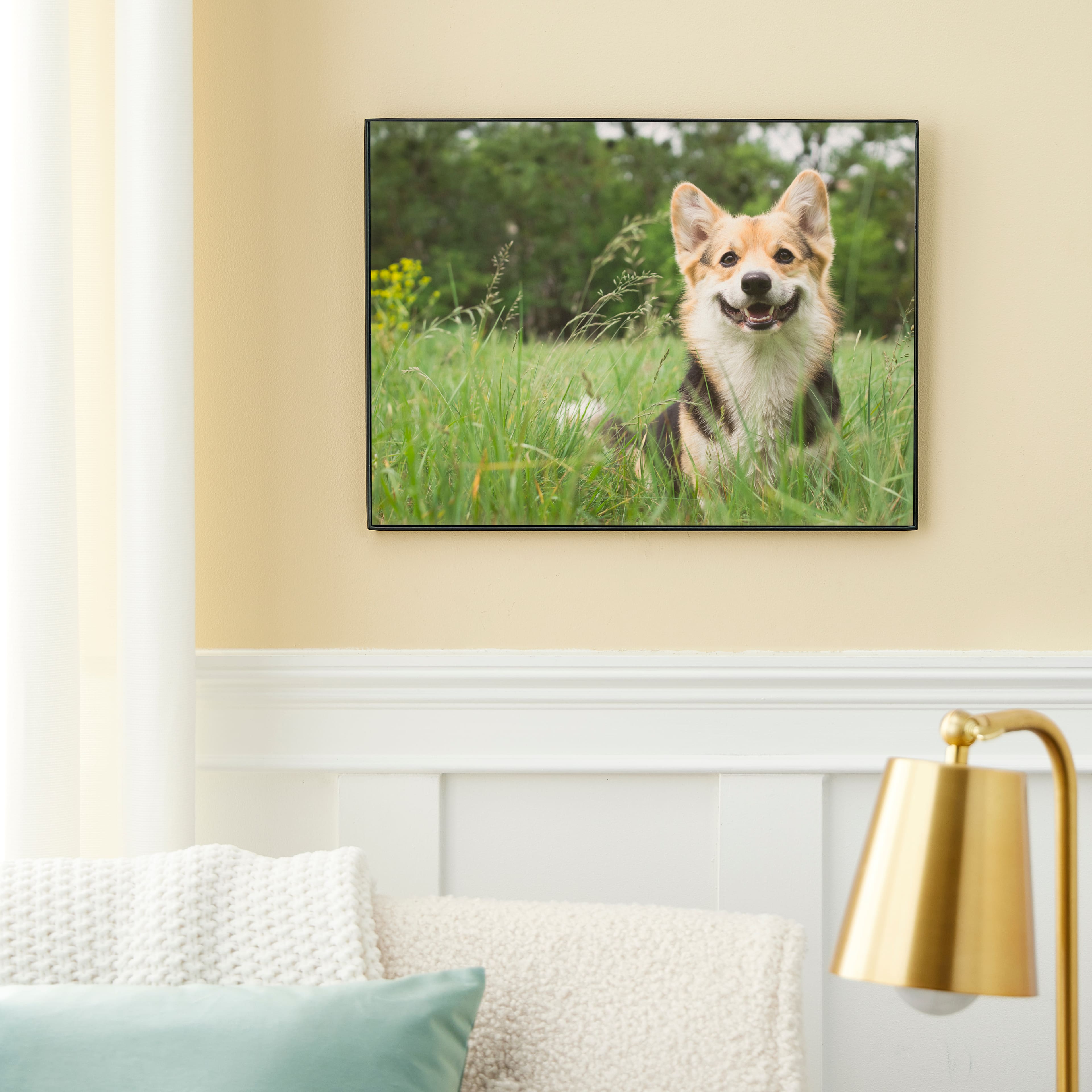 6 Pack: Black Frame, Basics by Studio Décor®