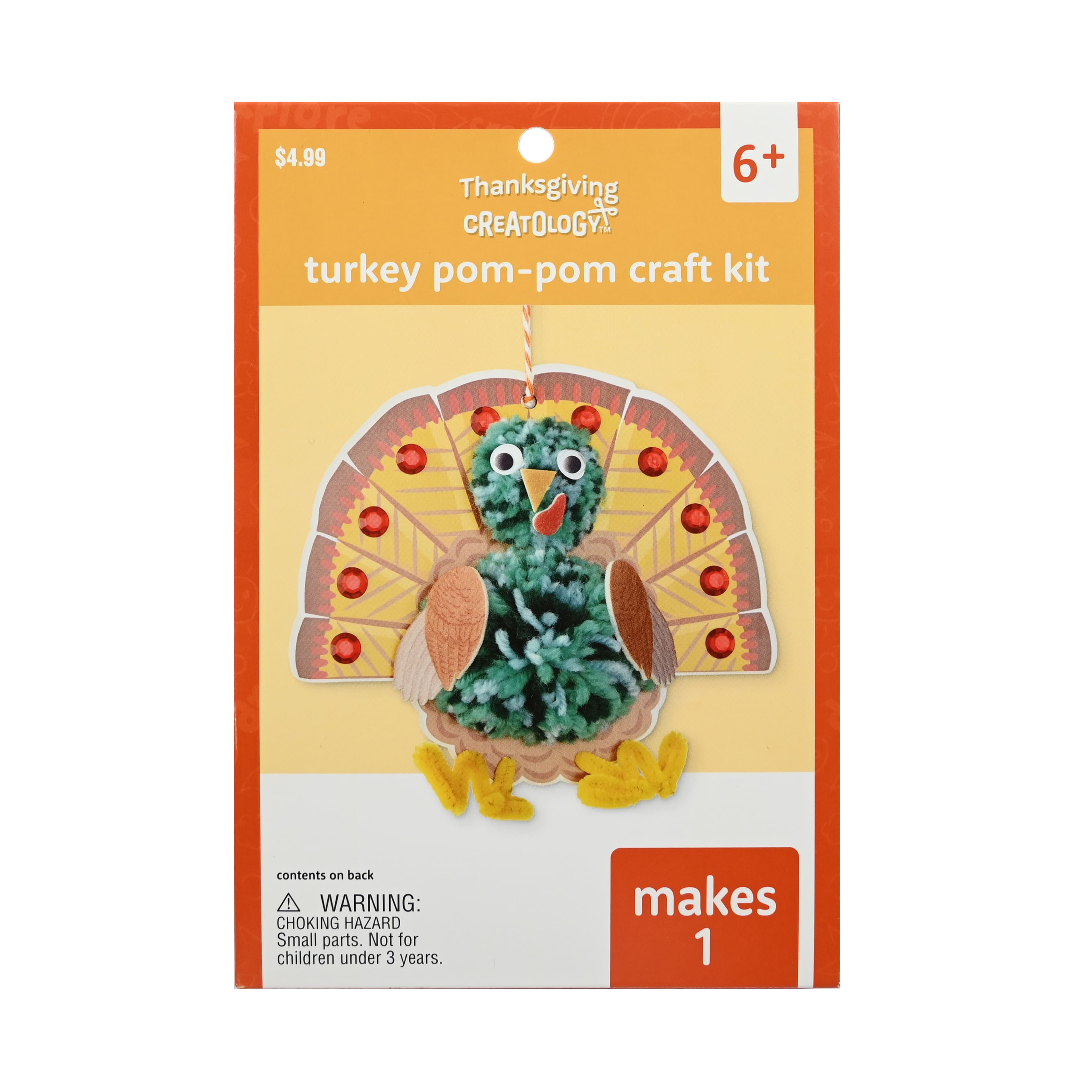 Turkey Pom Pom Craft Kit by Creatology&#x2122;