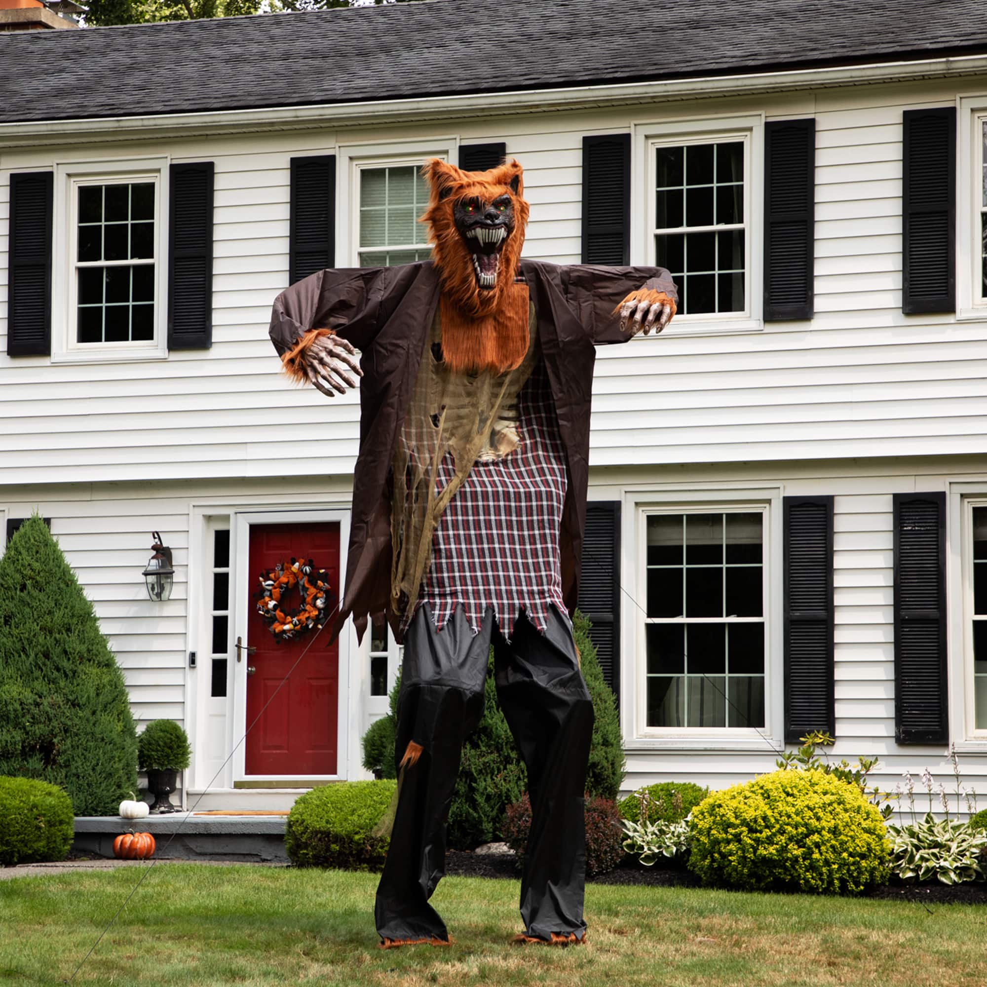 Huge Lighted and Animated Talking Werewolf Commercial Outdoor Halloween Decoration - 12&#x27;