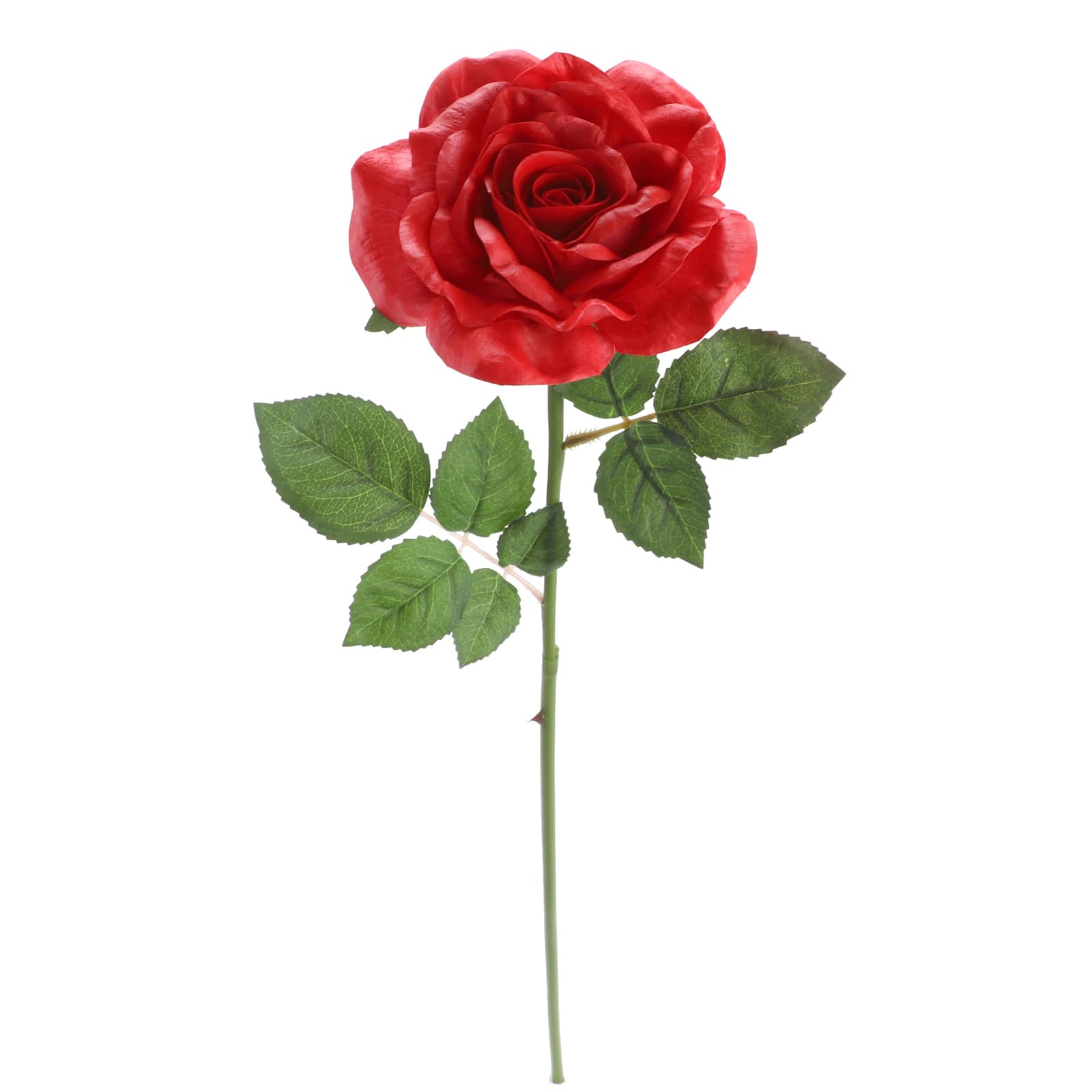 Red Rose Bush by Ashland® 