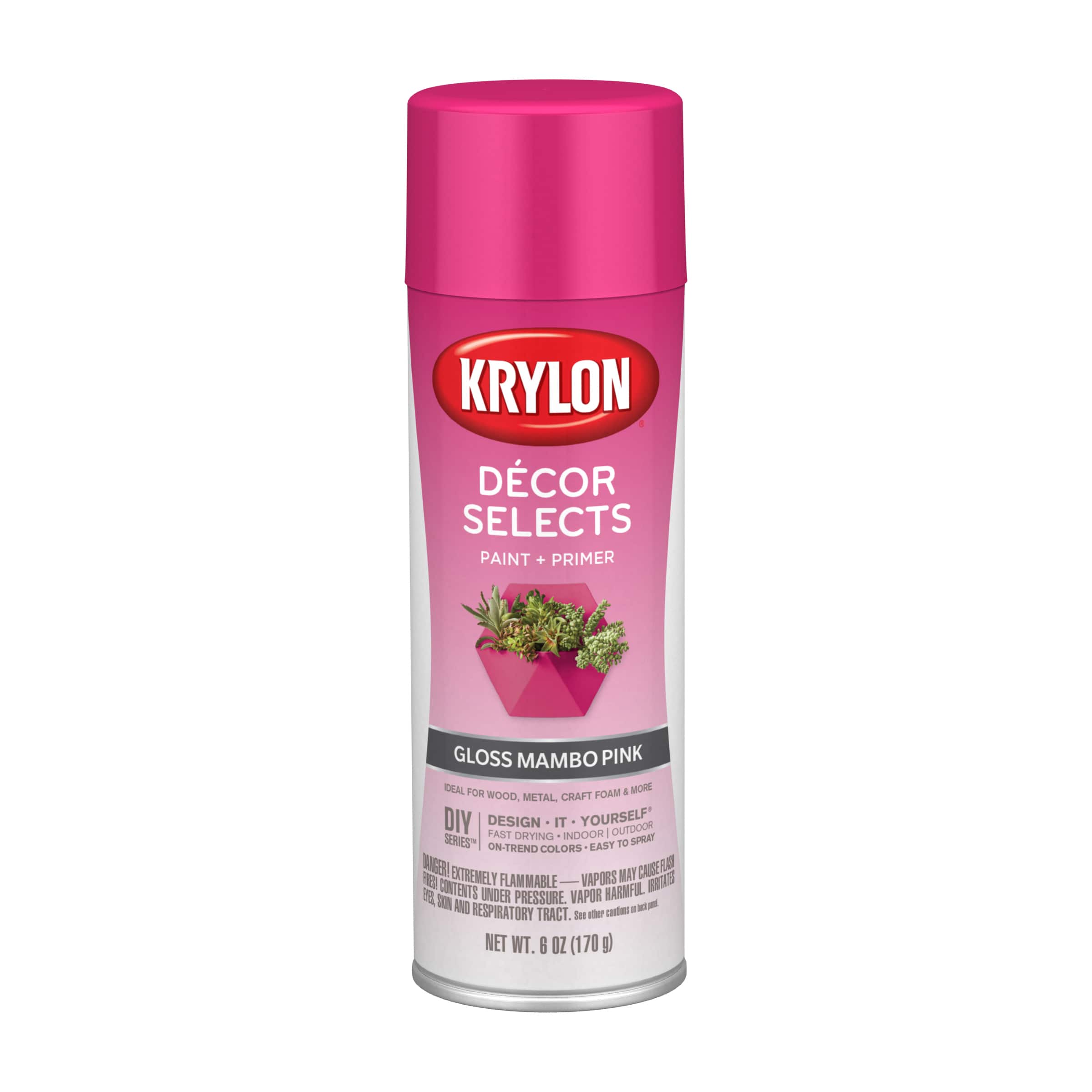 Krylon® Décor Selects Gloss Paint & Primer