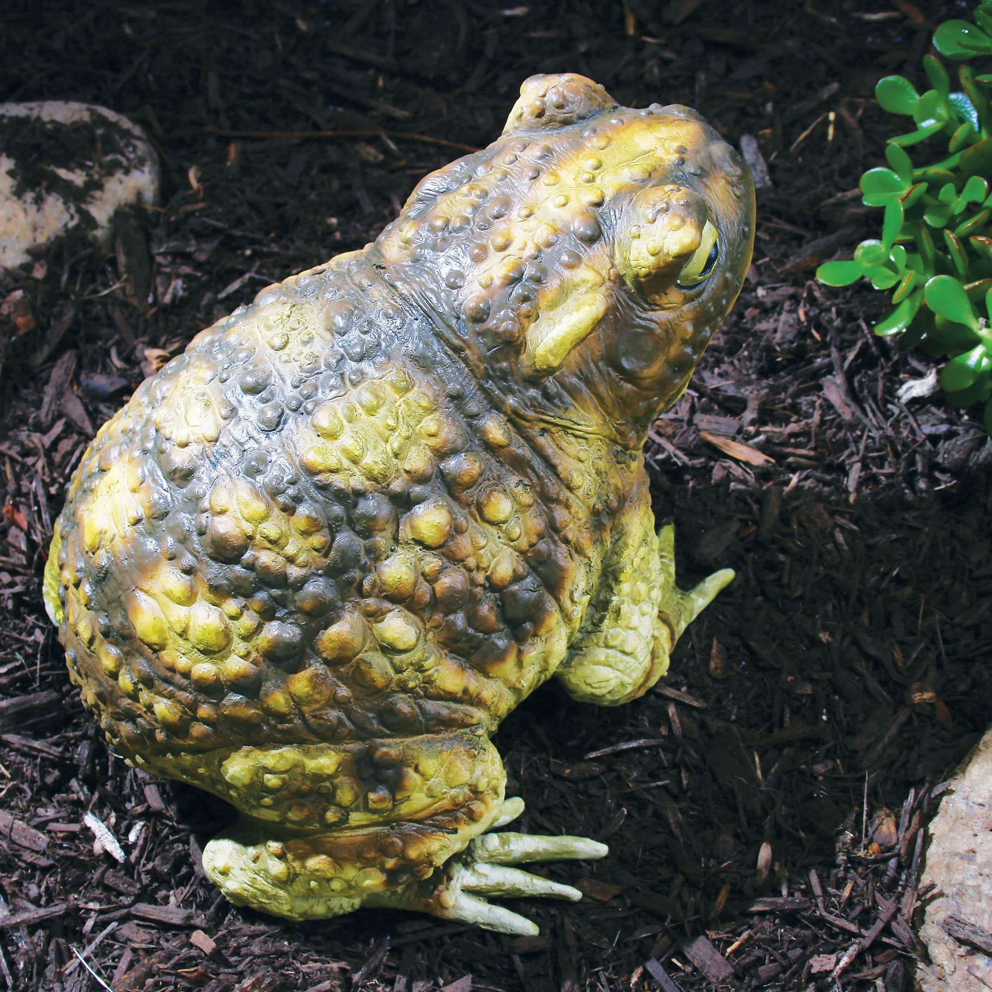 10&#x22; Green Frog by Ashland&#xAE;